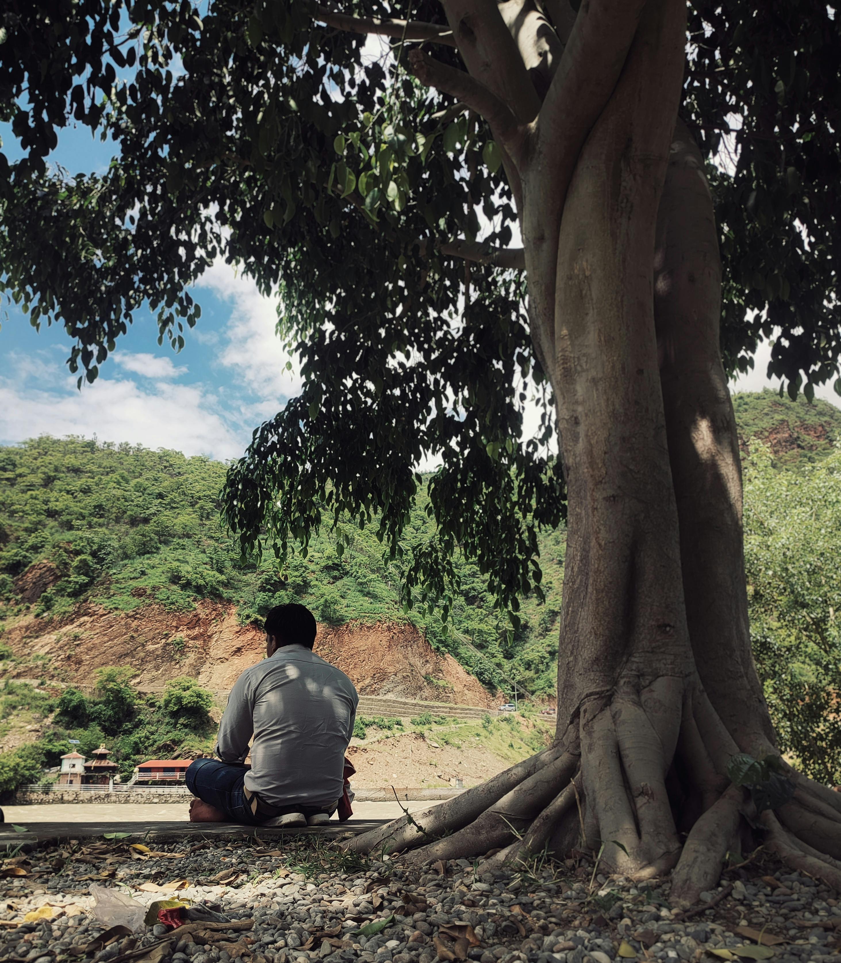 Man sitting under a large tree beside a lush hillside during daylight.