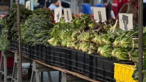 Fresh green vegetables neatly displayed at a bustling farmers market, showcasing local produce.