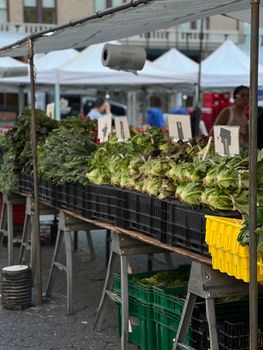 Fresh green vegetables neatly displayed at a bustling farmers market, showcasing local produce.. pexels, fresh, green