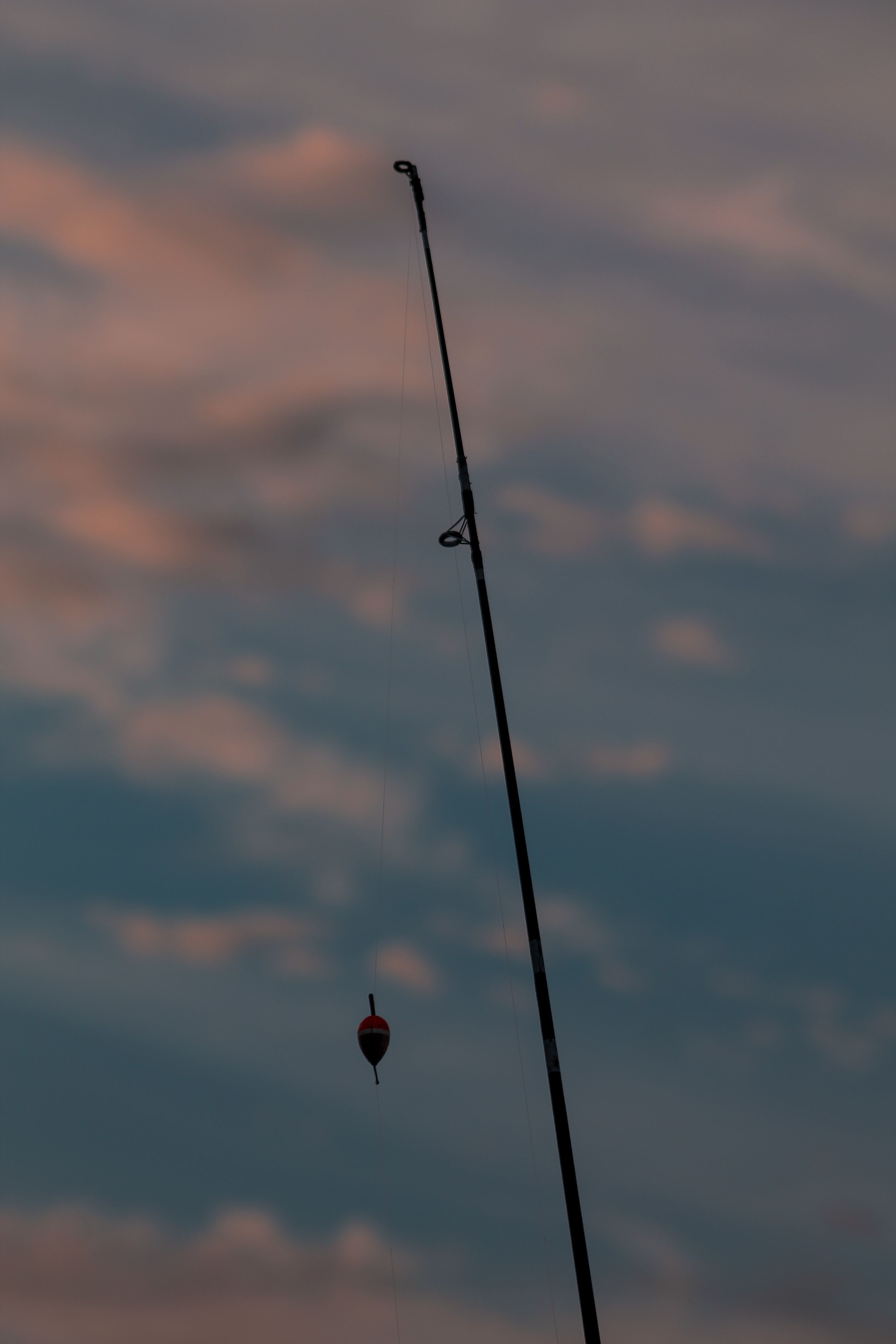 combo saltwater fishing pole St. Croix SOLS70MHF-C Sole Spinning ZXR 20 These combos feature rods Color:GG Wild Gill Ghosthorn 360 Degree Rod