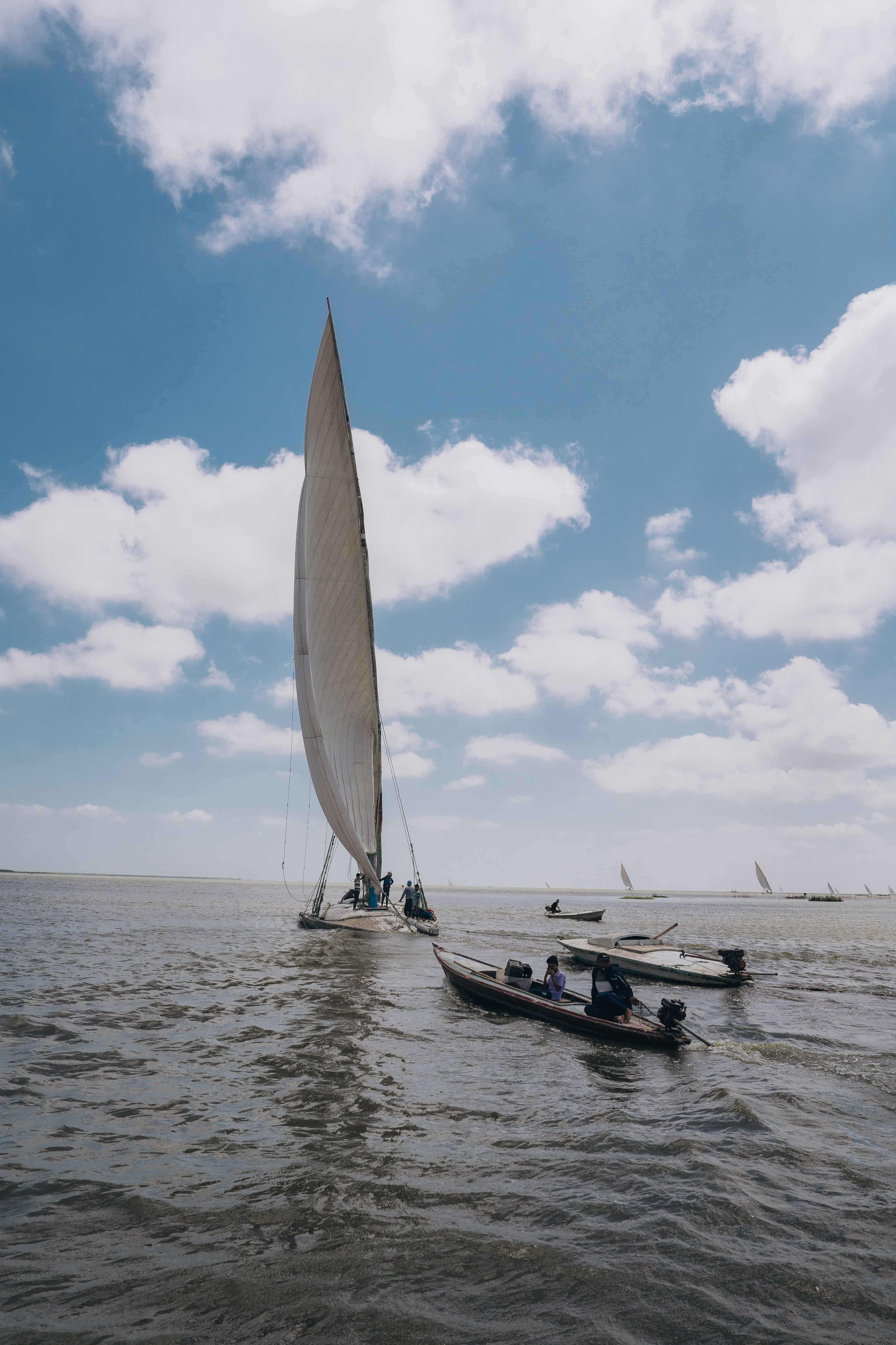 Sailboats gracefully navigate the Nile River under a bright blue sky in Kafr El-Shaikh, Egypt.