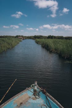 A serene boat ride through a tranquil canal in rural Kafr El-Shaikh, Egypt, under a bright summer sky.