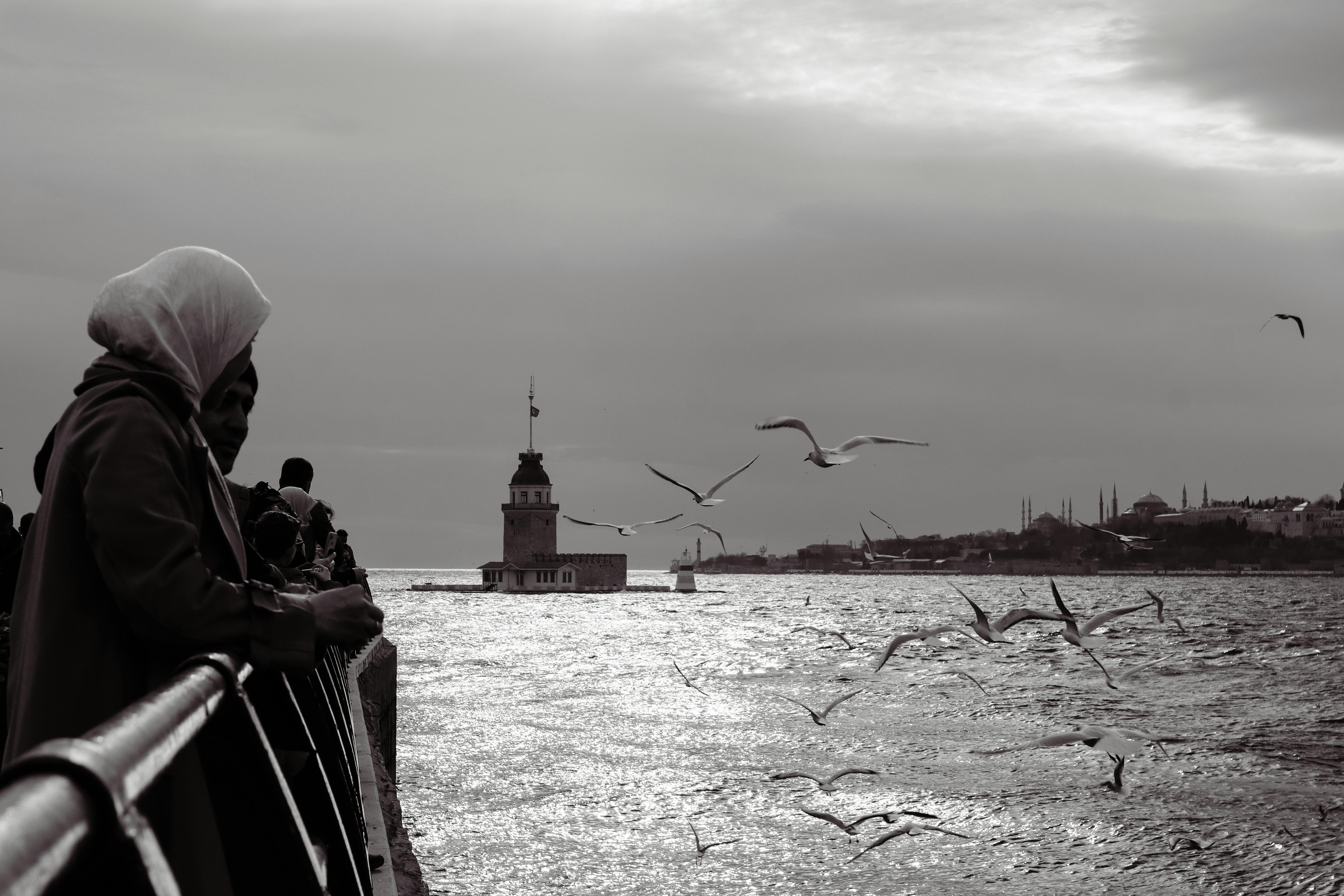 A scenic view of İstanbul's iconic Maiden's Tower with silhouetted people and seagulls at sunset.