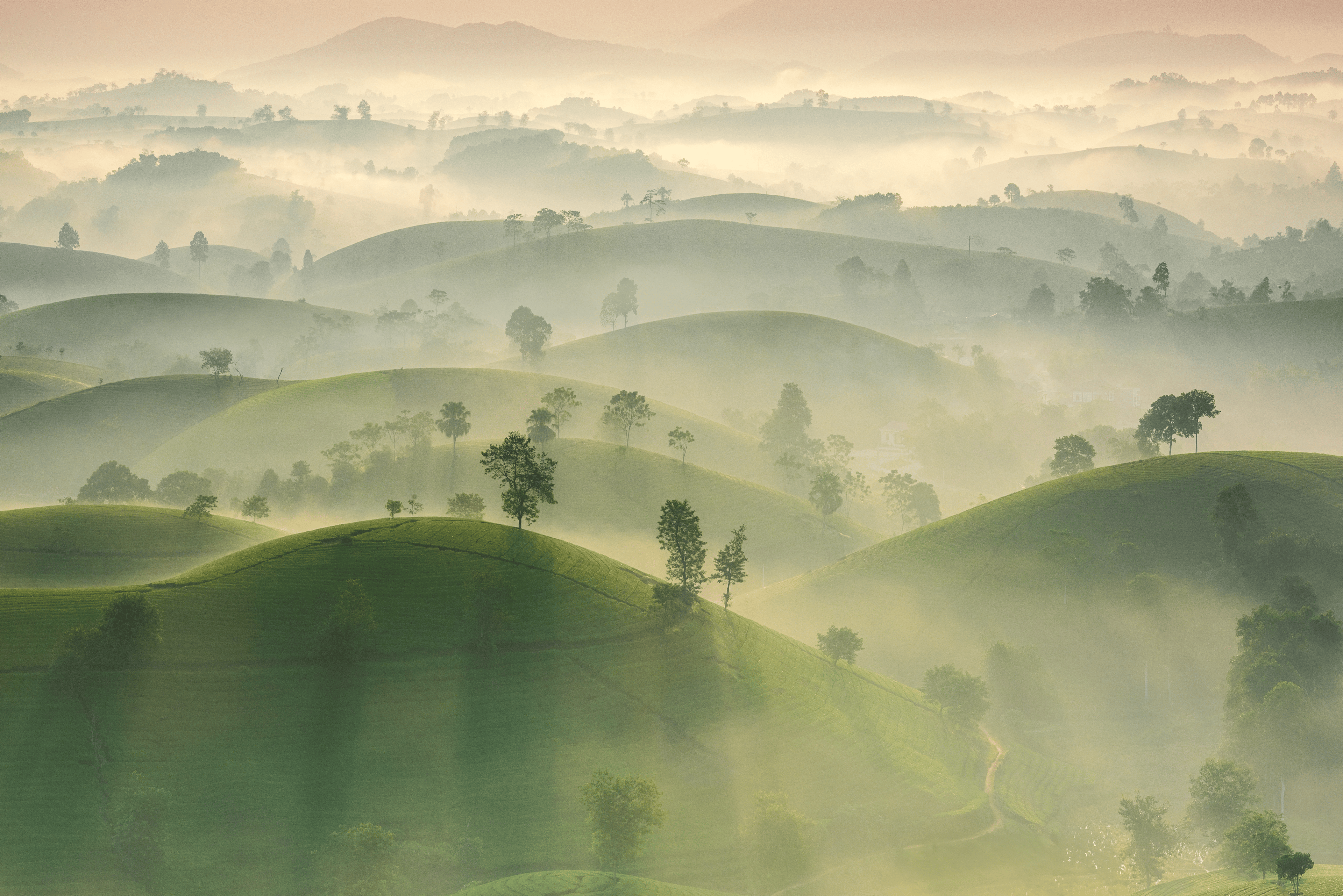 A serene landscape of misty green hills at sunrise in Hà Nội, Vietnam, capturing natural beauty and tranquility.