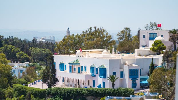 Carthage ancient ruins with archaeologist — Tunis