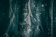 A close up of an old tree bark texture