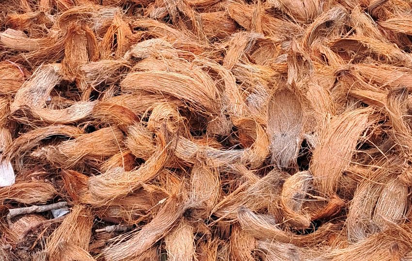 Coconut husks and coir for biomass projects — representative real photograph, not an ESPC project
