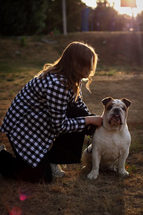 Free Woman and English bulldog enjoying sunset in a Ukrainian park, capturing friendship and warmth. Stock Photo