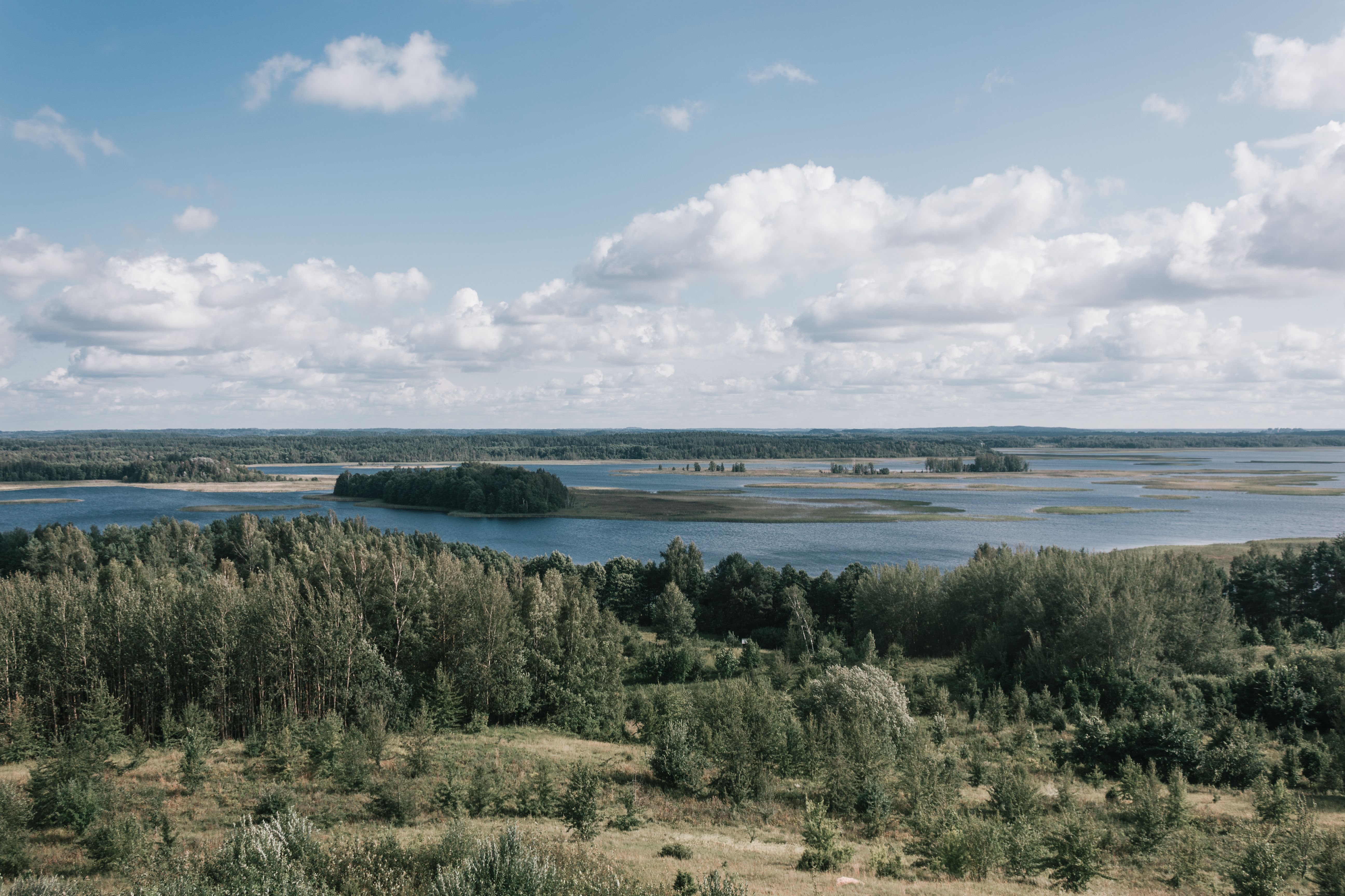 Serene aerial view of lush wetlands and scattered trees under a vibrant sky, perfect for nature themes.