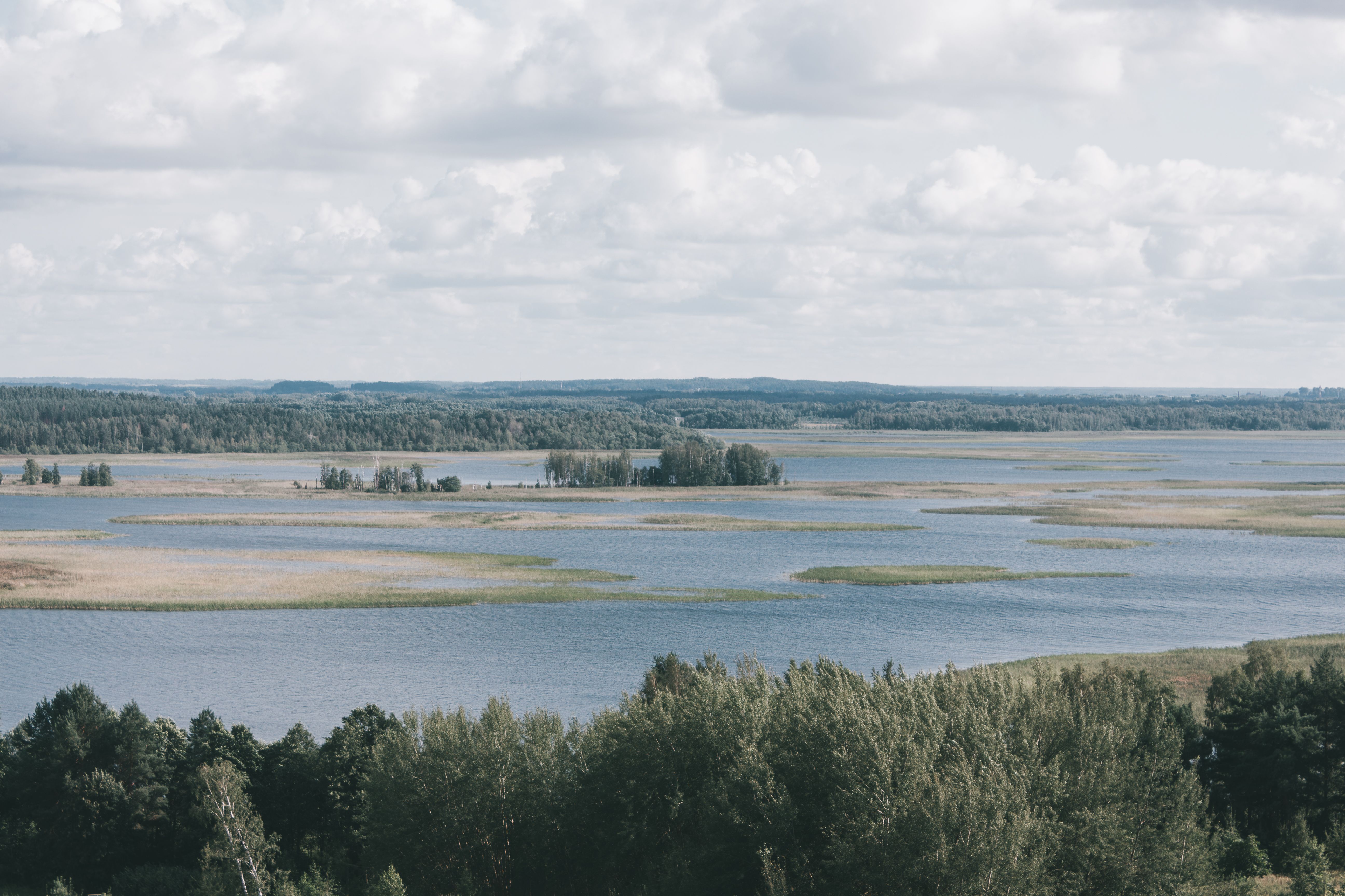 A tranquil aerial view of a vast wetland area with lush greenery and open water bodies.