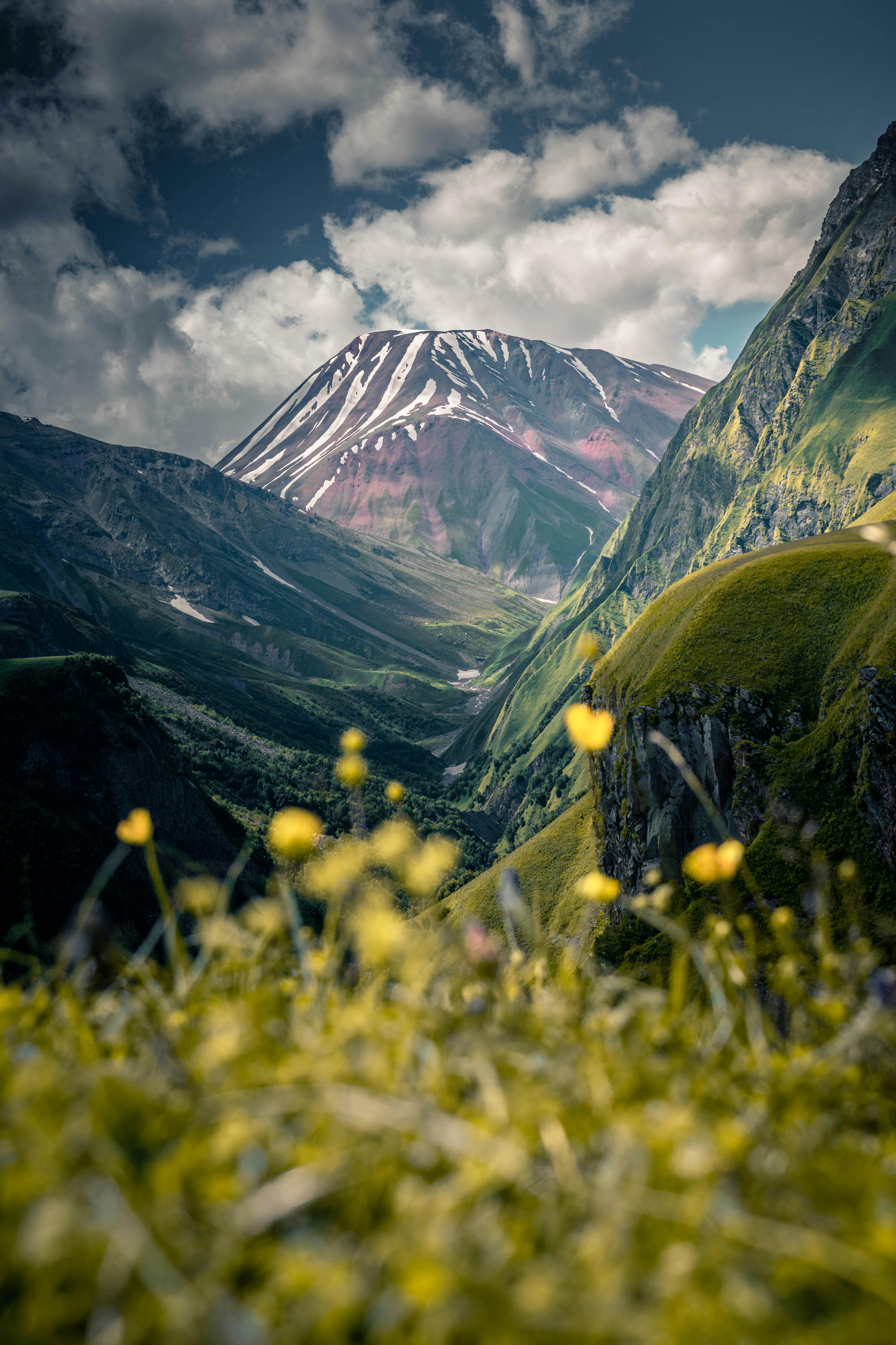 Foto De Stock Gratuita Sobre Al Aire Libre, Alto, Brillante