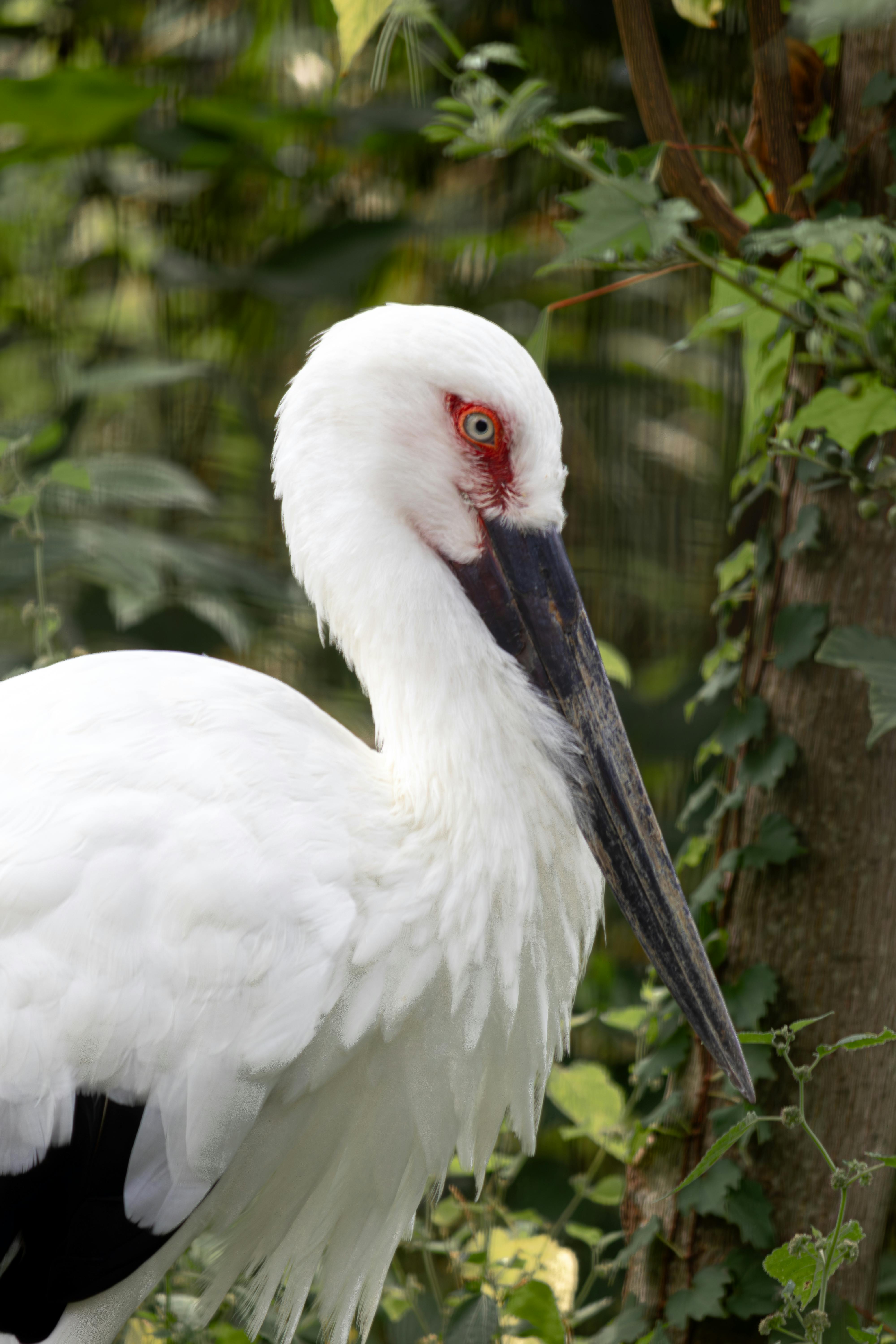 Is Train Street Still Worth Visiting? My Honest Opinion