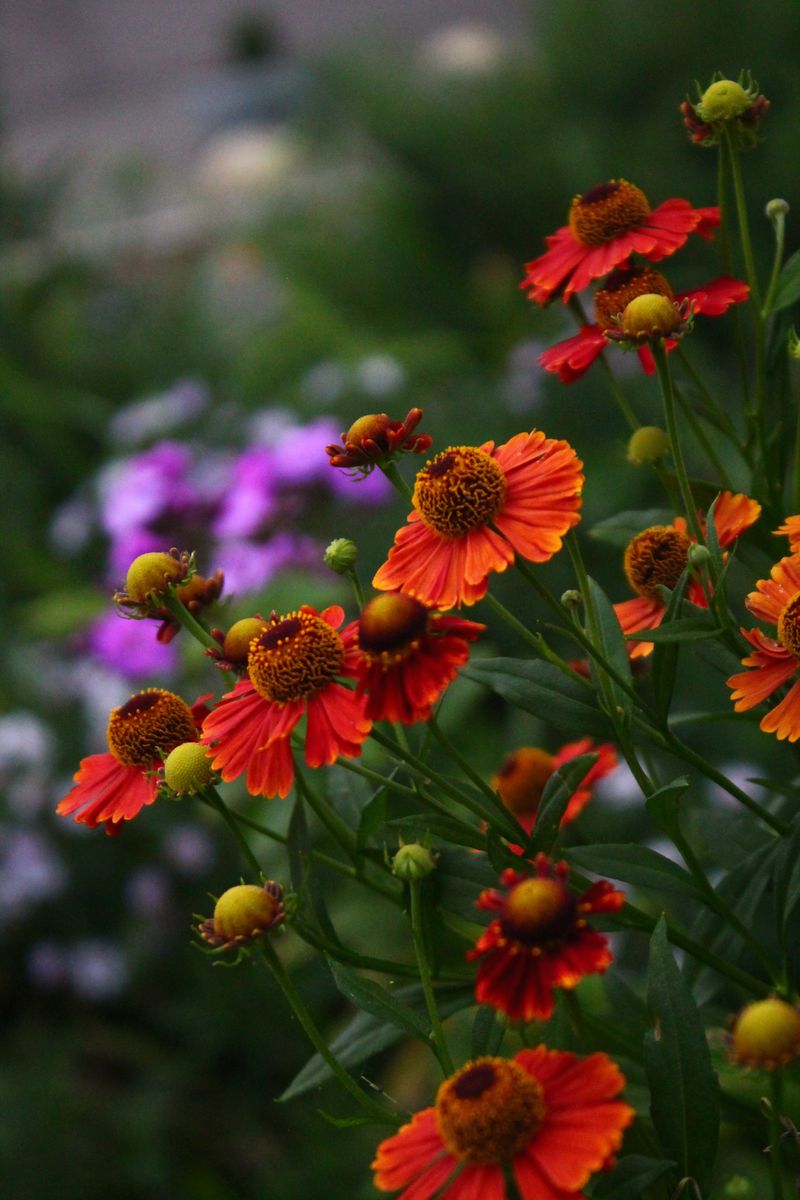 Autumn bouquet in warm orange tones