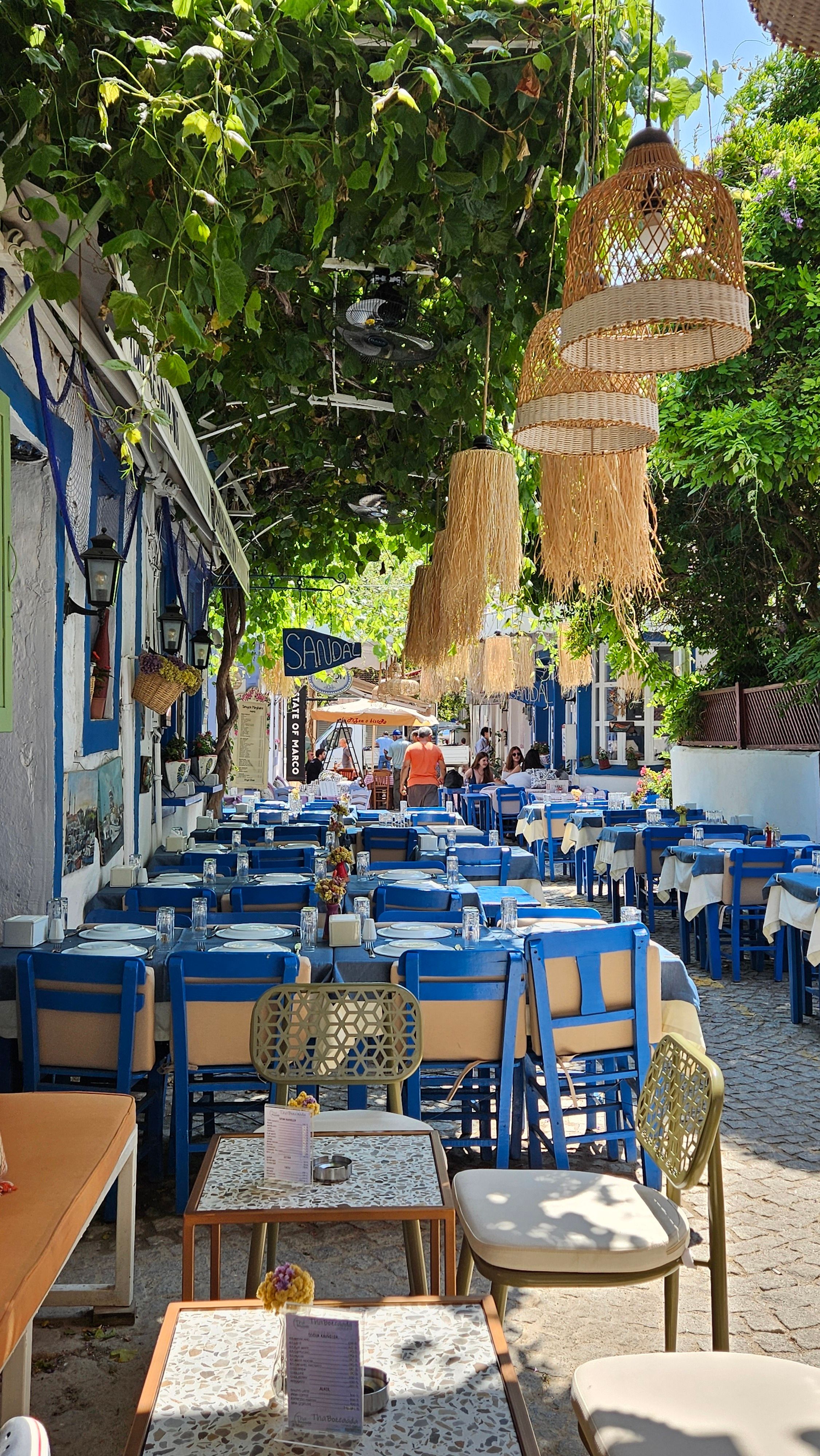 Picturesque Greek bistro with vibrant blue chairs, outdoor seating, and summer foliage.