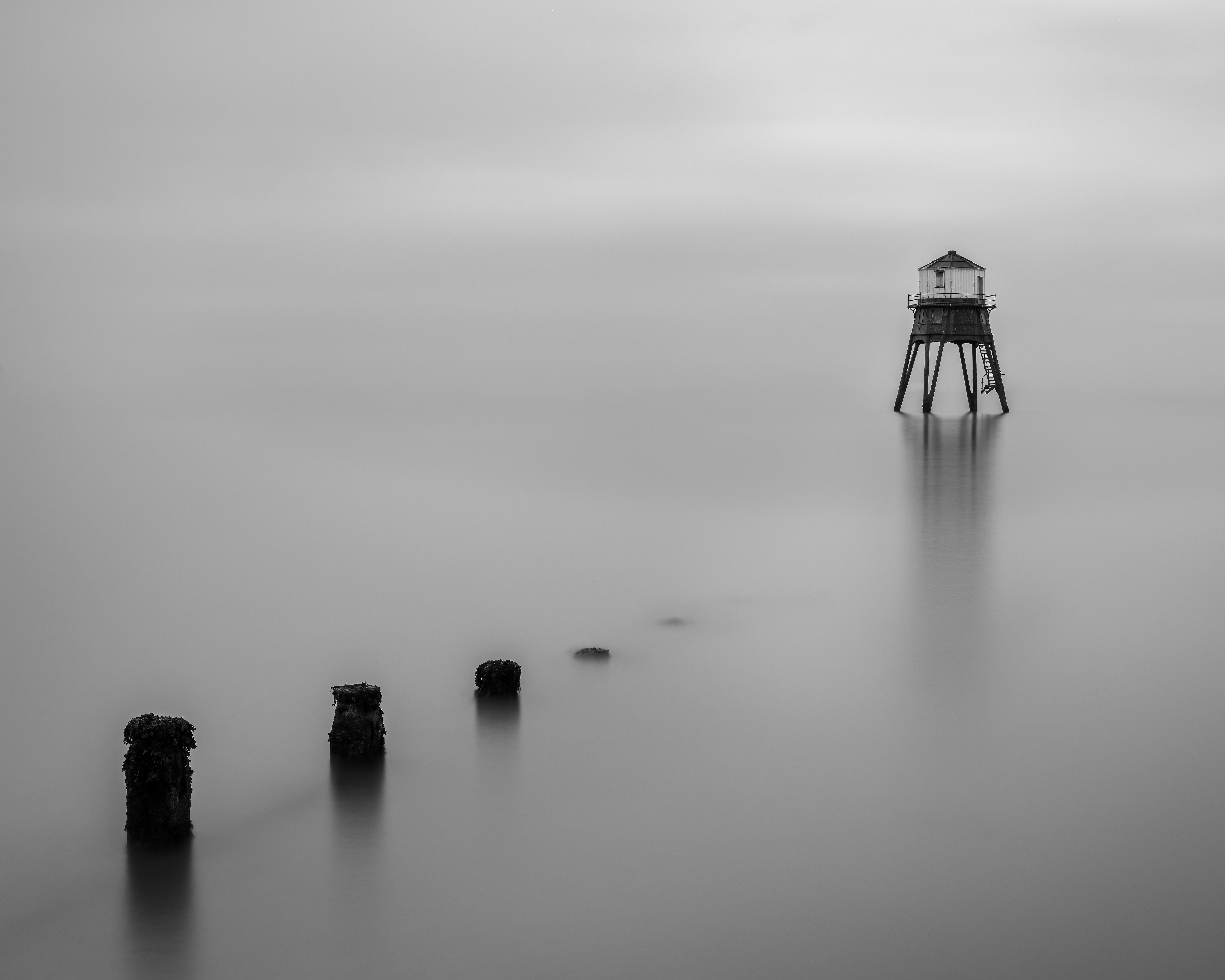 Foto: simon phillips / Pexels