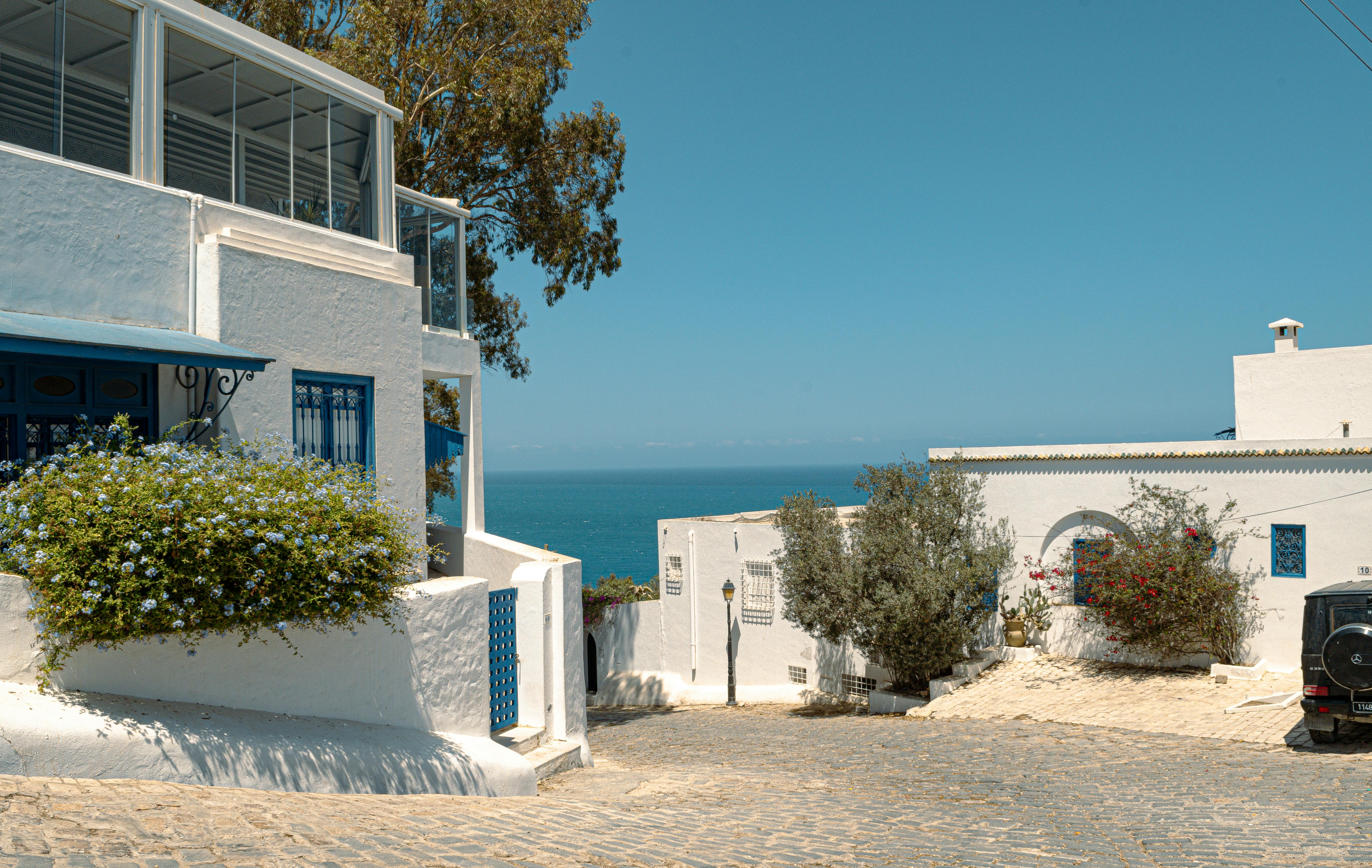 Quaint whitewashed buildings in Carthage, Tunisia, overlooking the serene blue sea.