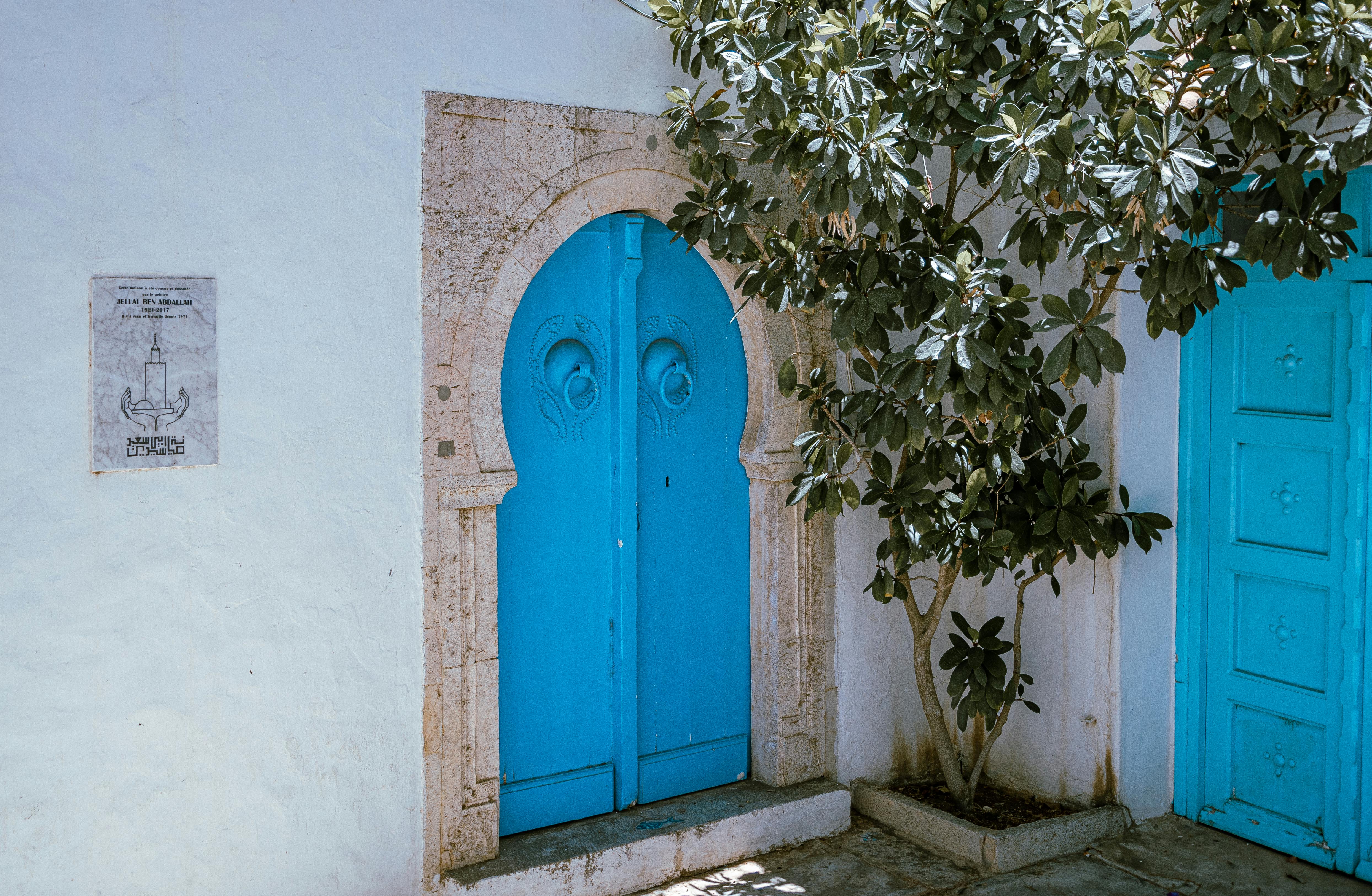 Blick auf die blaue und weiße Stadt Sidi Bou Said in Tunesien