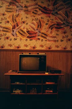 Explore a nostalgic retro living room featuring a vintage TV on a classic wooden stand with floral wallpaper.
