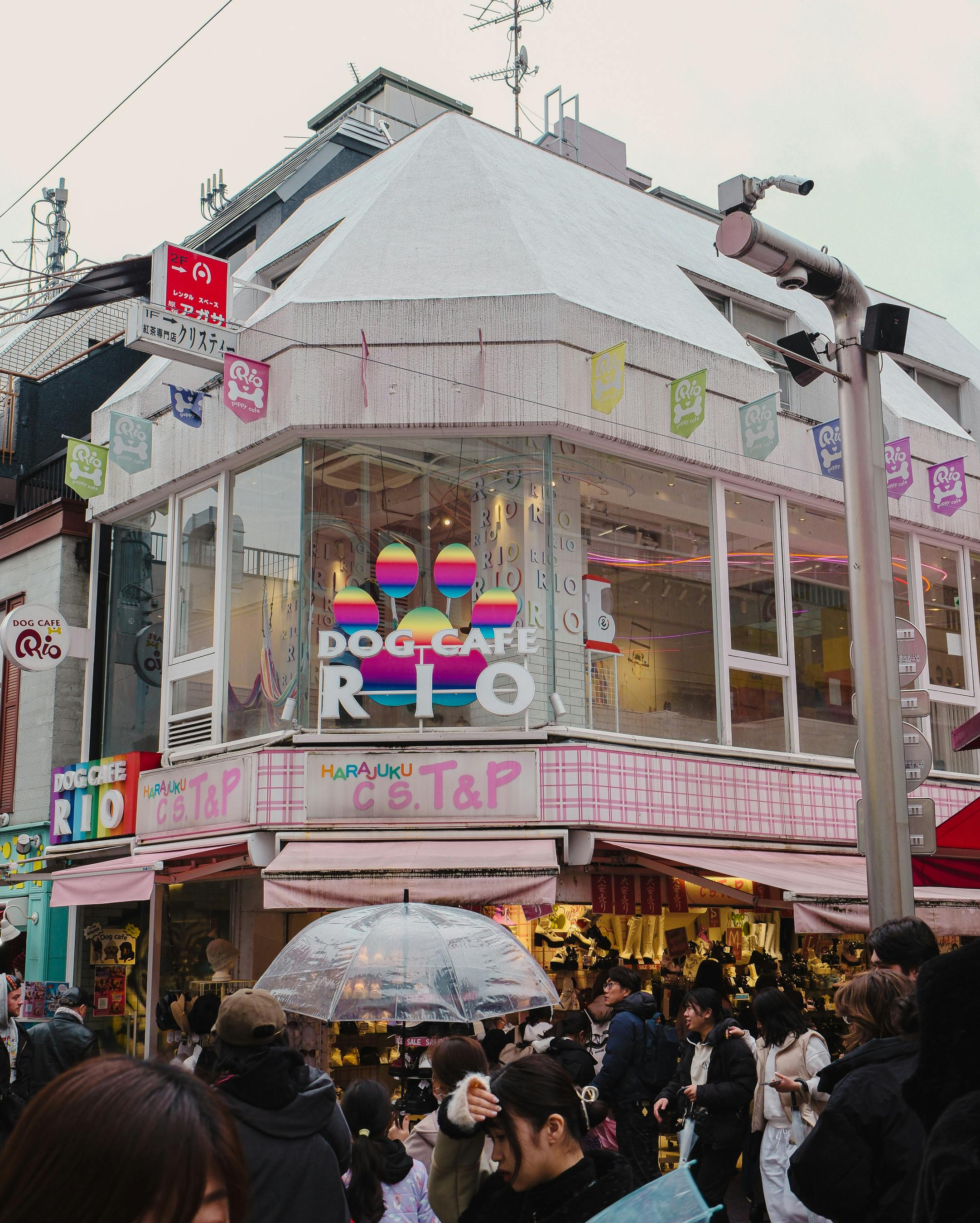 渋谷でカフェを選ぶときのポイント