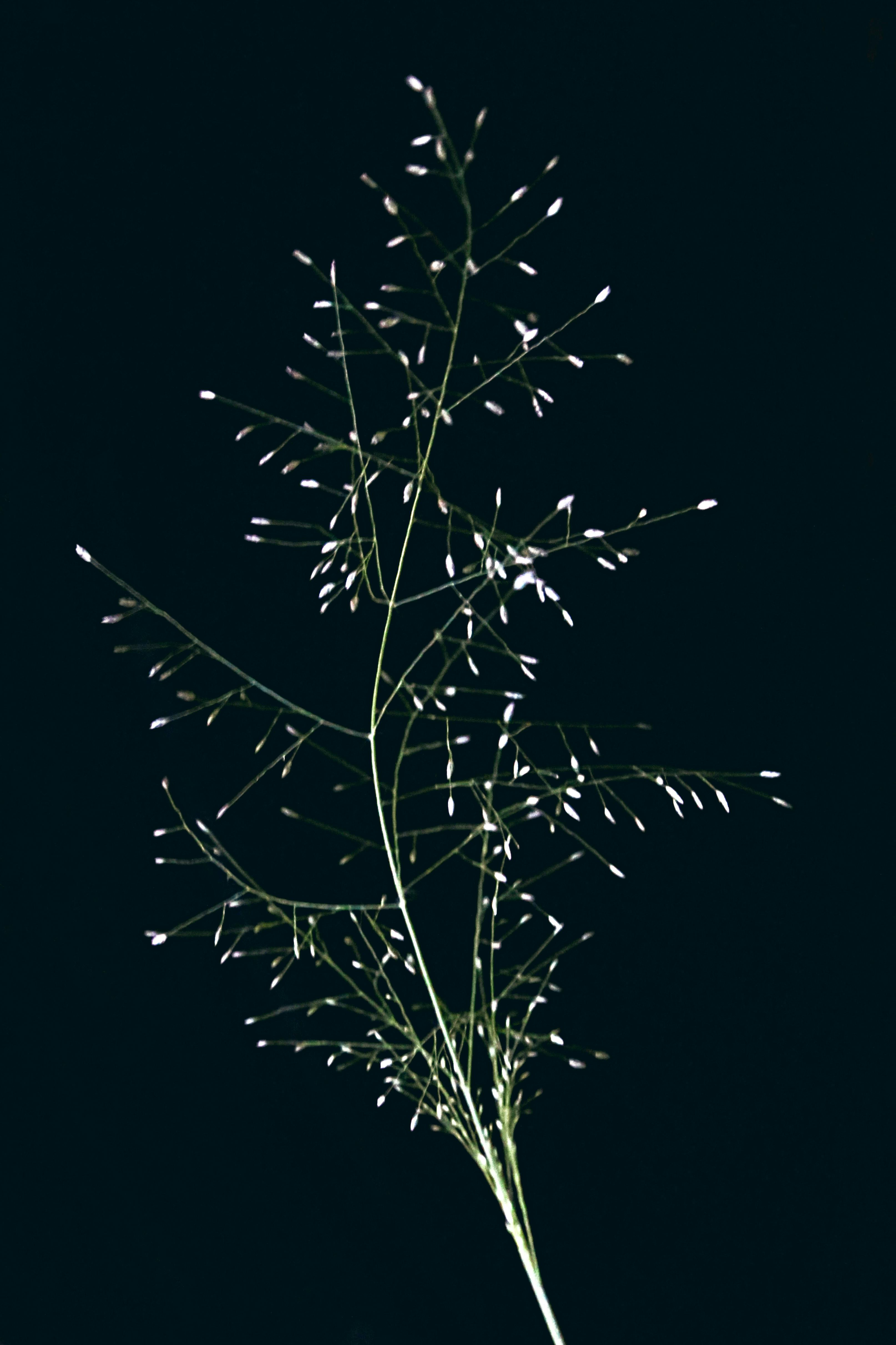 Unduh 860 Background Hitam Lanskap HD Gratis - Download ...