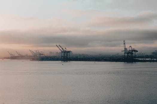 Silhouettes of cranes line an industrial harbor under a moody sunset sky.