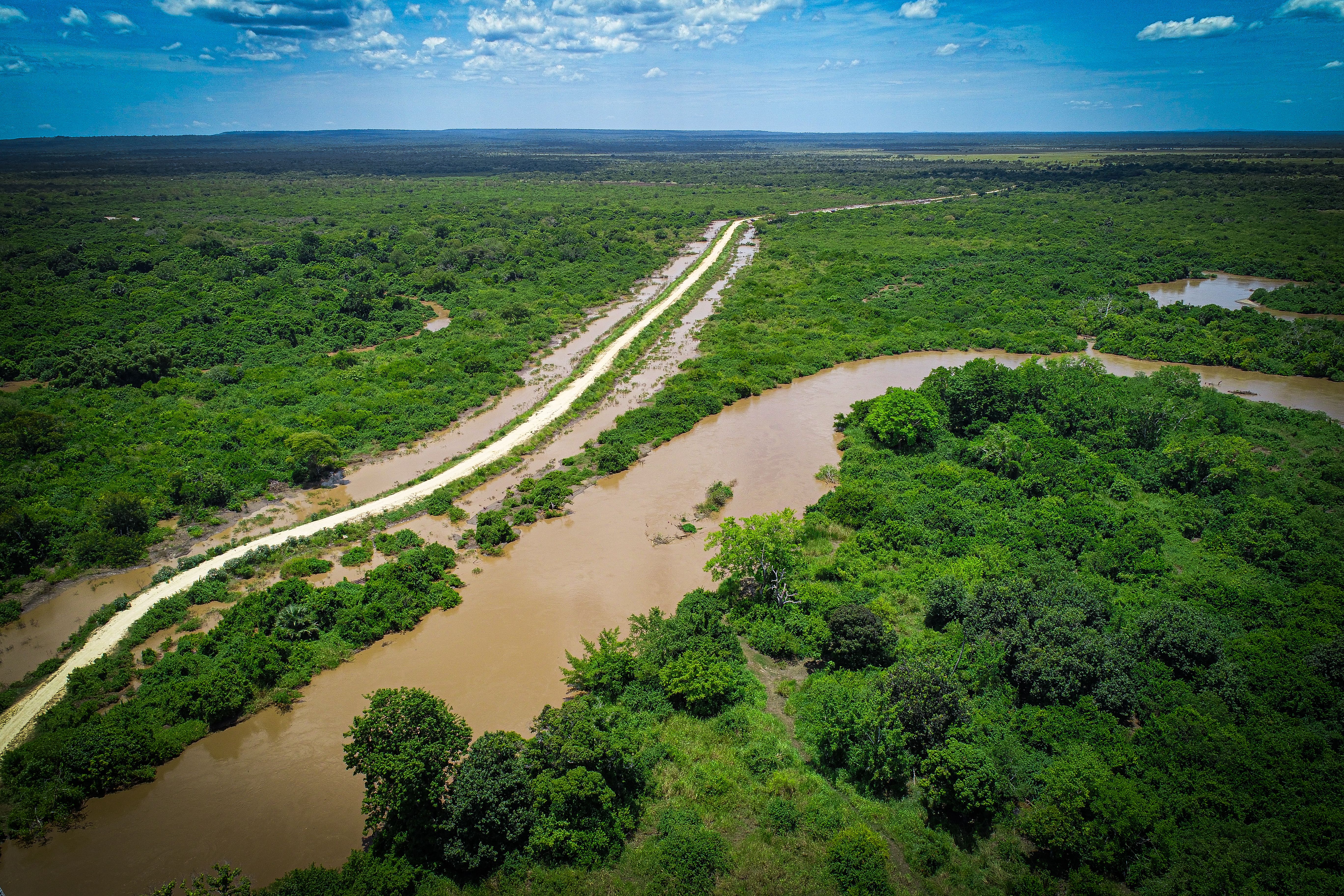 Explore a vibrant aerial view of greenery and waterways in Bagamoyo, Tanzania's Pwani Region.