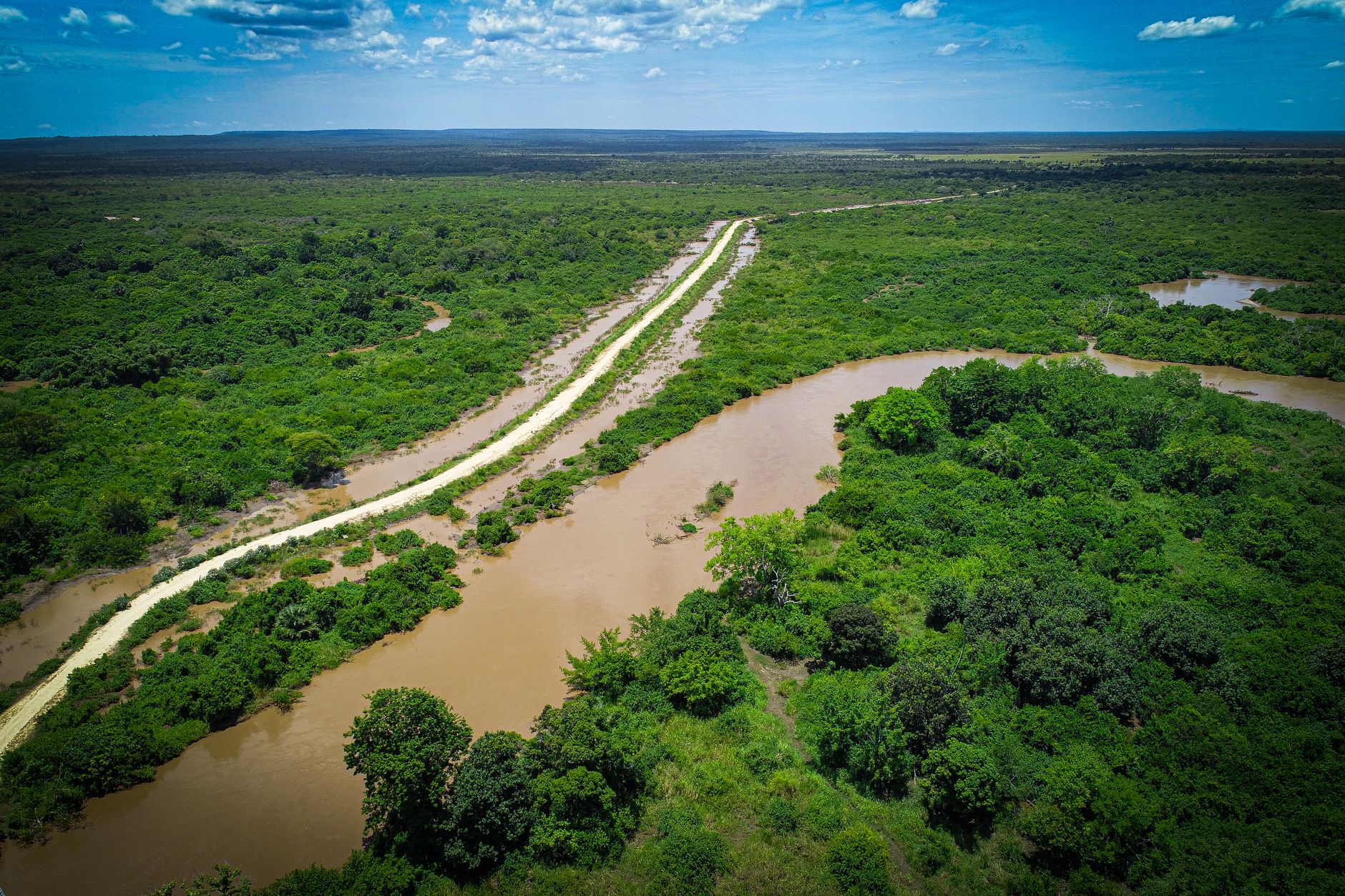 Explore a vibrant aerial view of greenery and waterways in Bagamoyo, Tanzania's Pwani Region.