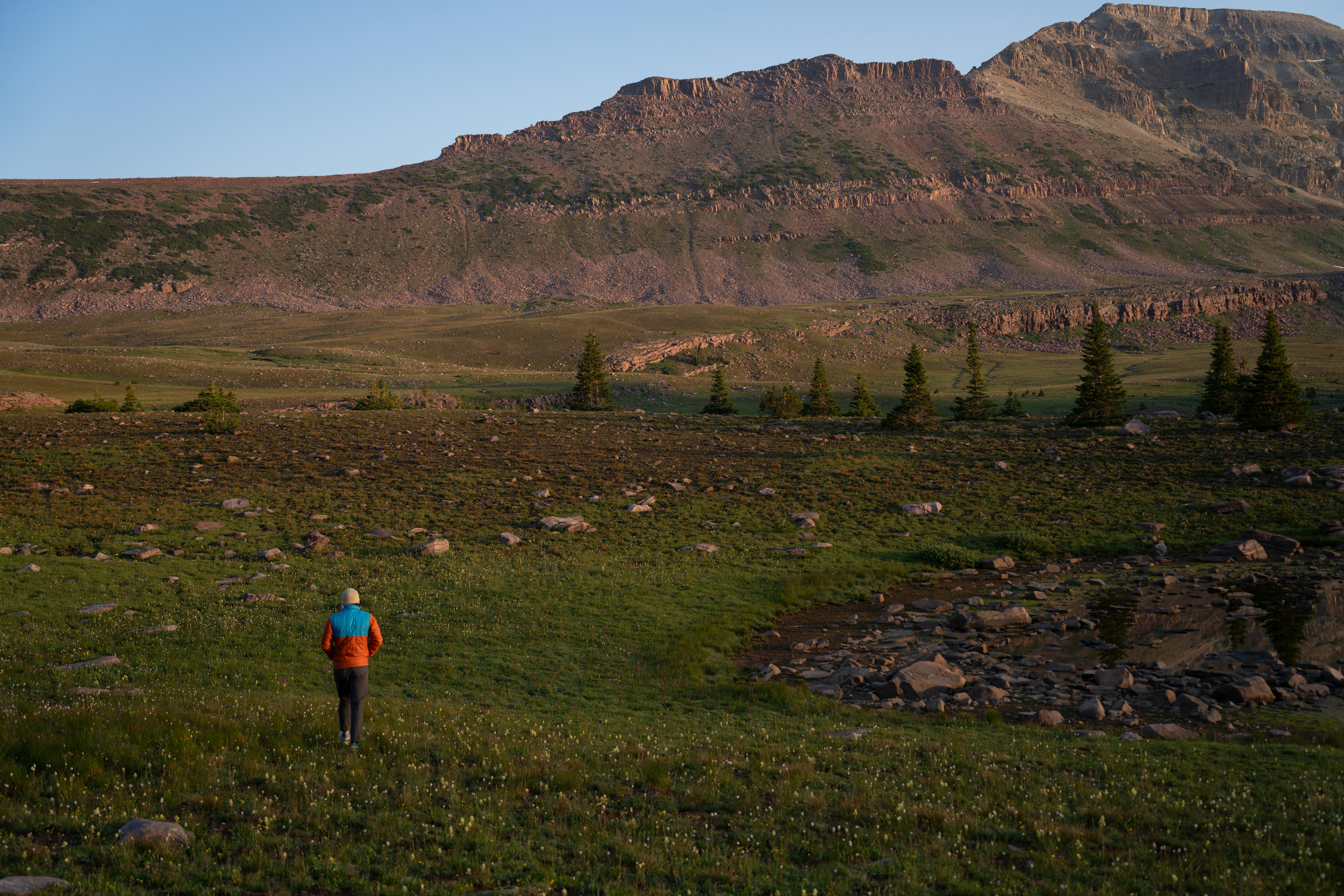 gear reviews gear ratings — Photo by Alex Moliski on Pexels