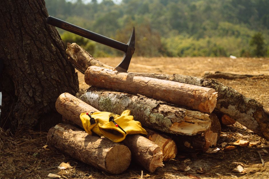 Axe lodged in tree stump beside chopped firewood and gloves in a forest setting