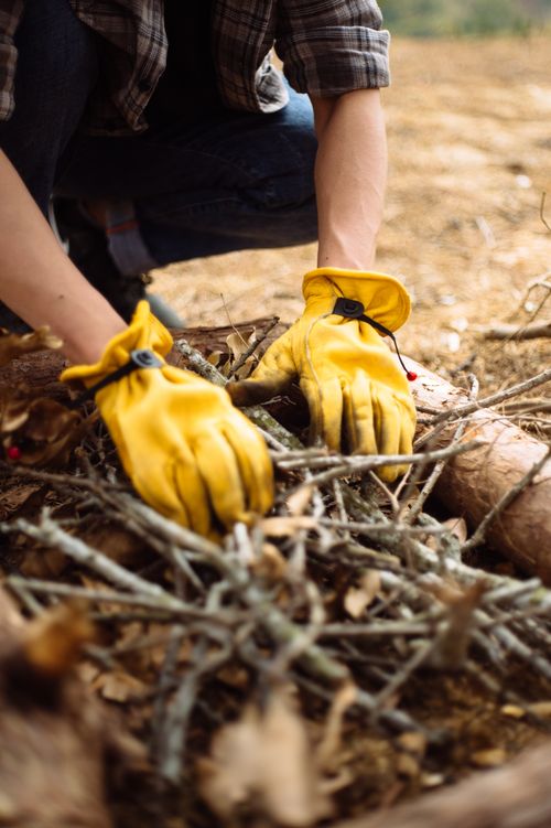 Free A person wearing yellow gloves gathers firewood outdoors, perfect for autumn themes. Stock Photo