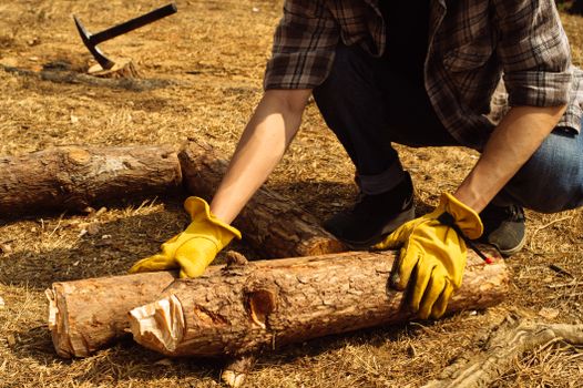 A worker with yellow gloves arranging cut logs in an outdoor forestry setting.