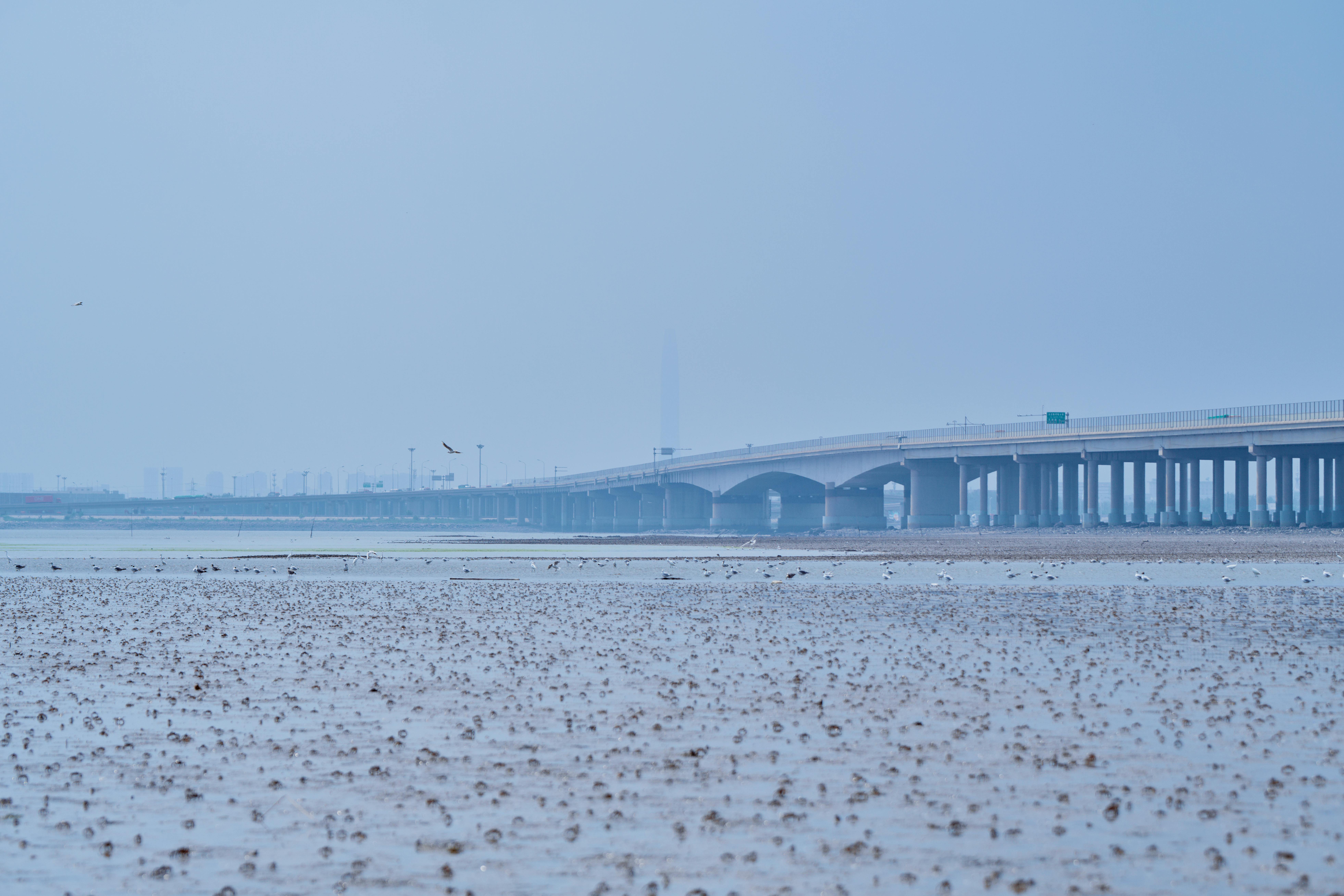 climate resilience, sea level rise, drought mitigation, ecosystem restoration, climate policy, Climate adaptation — Photo by 