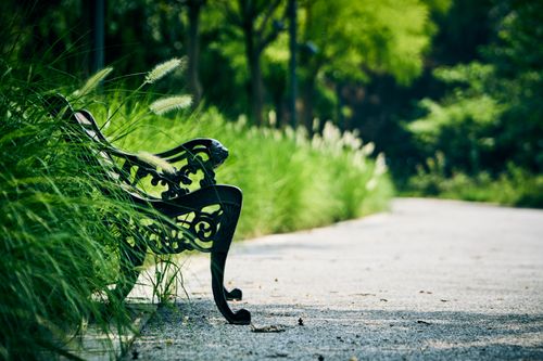Free A serene park scene featuring a decorative iron bench surrounded by lush green plants. Stock Photo