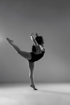 Graceful ballerina demonstrating balance and poise in a studio setting.