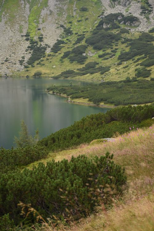 Free A tranquil mountain lake surrounded by verdant hills and lush greenery under a cloudy sky. Stock Photo