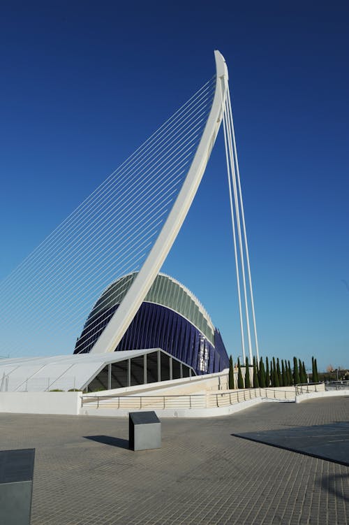 무료 푸른 하늘 아래 흰색과 파란색 콘크리트 건물 스톡 사진