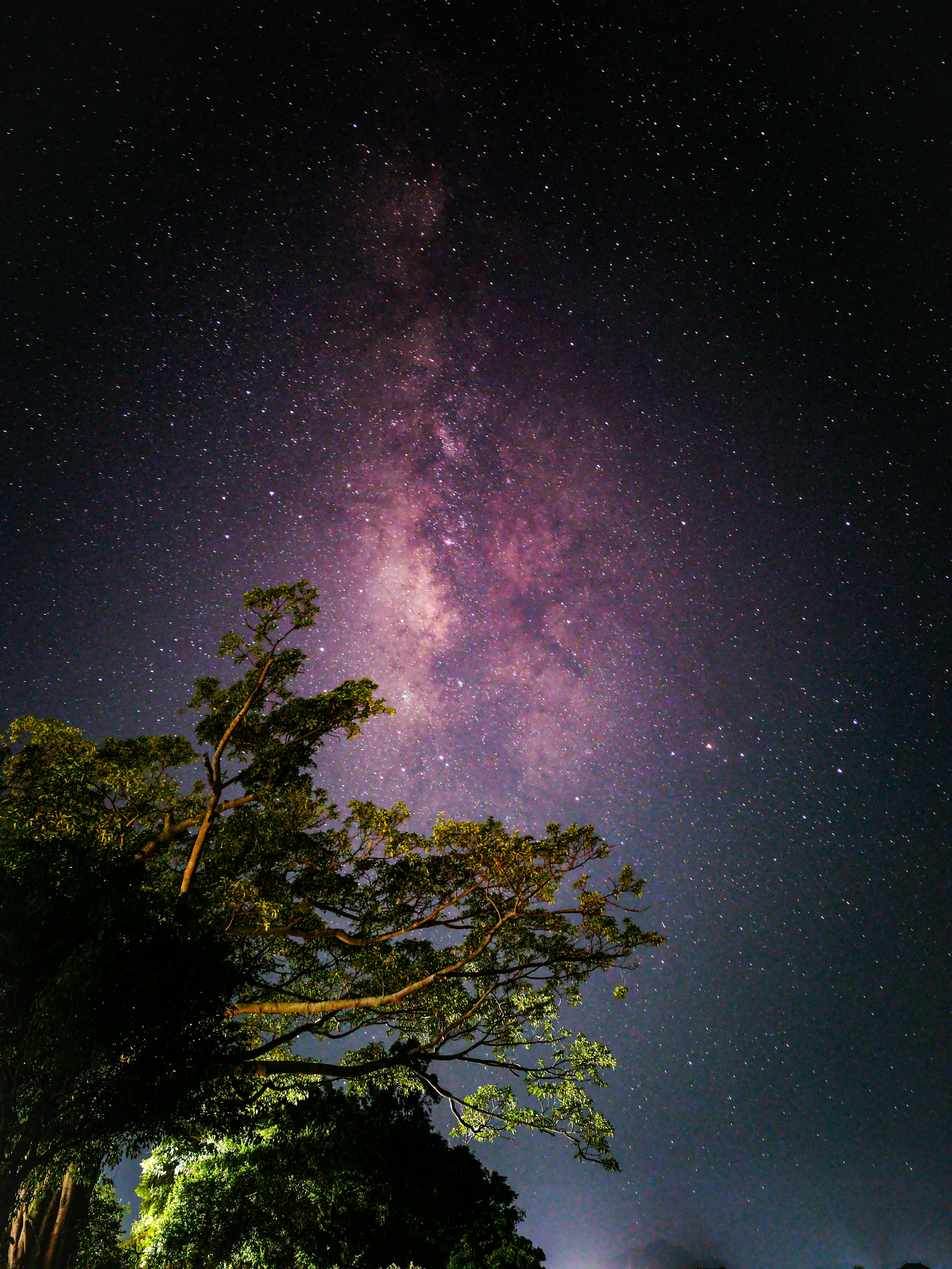 클리앙과 디시에서의 다이슨 할인 코드 정보