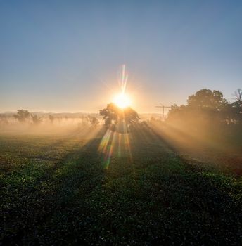 Beautiful sunrise casting sunbeams through mist in a rural landscape near Kellogg, Minnesota.