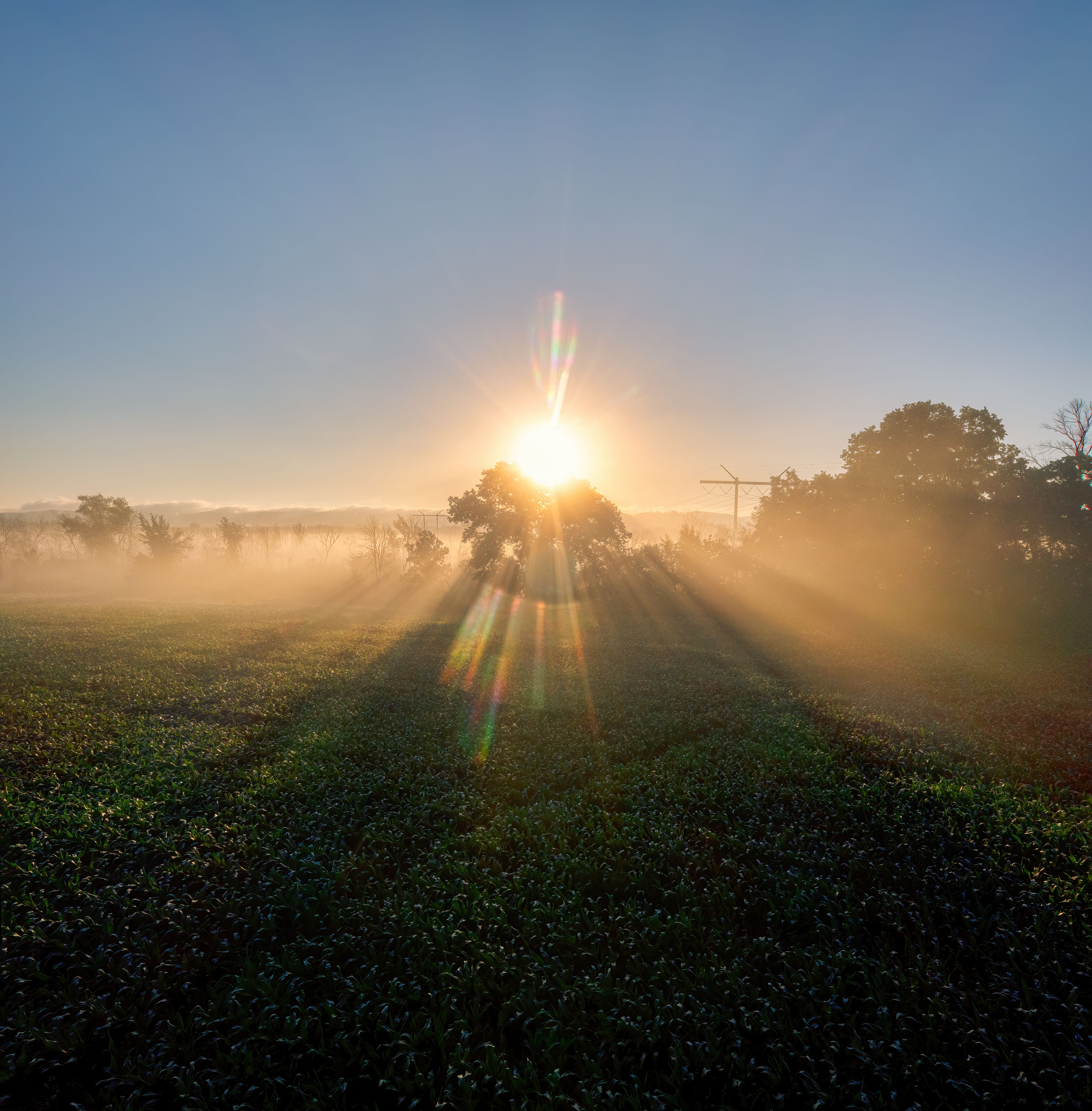 Sunrise over a field with fog and mist · Free Stock Photo