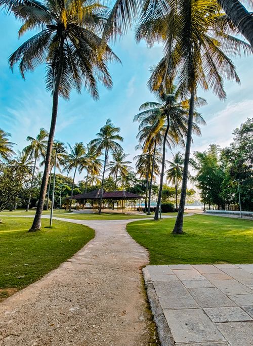 Free Scenic tropical park with palm trees under a clear blue sky, ideal for relaxation and leisure. Stock Photo