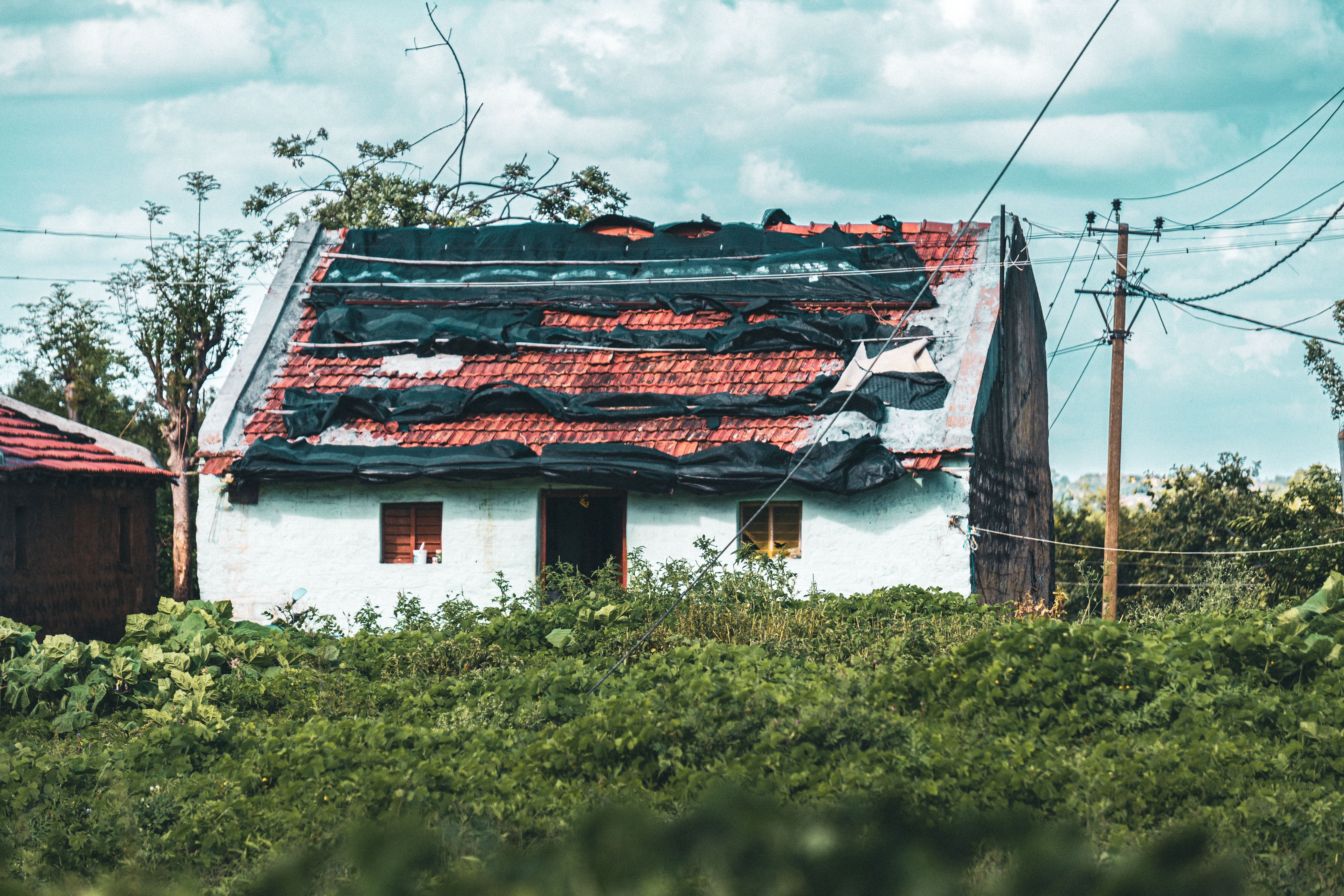 Photos gratuites de agriculture, architecture, architecture durable