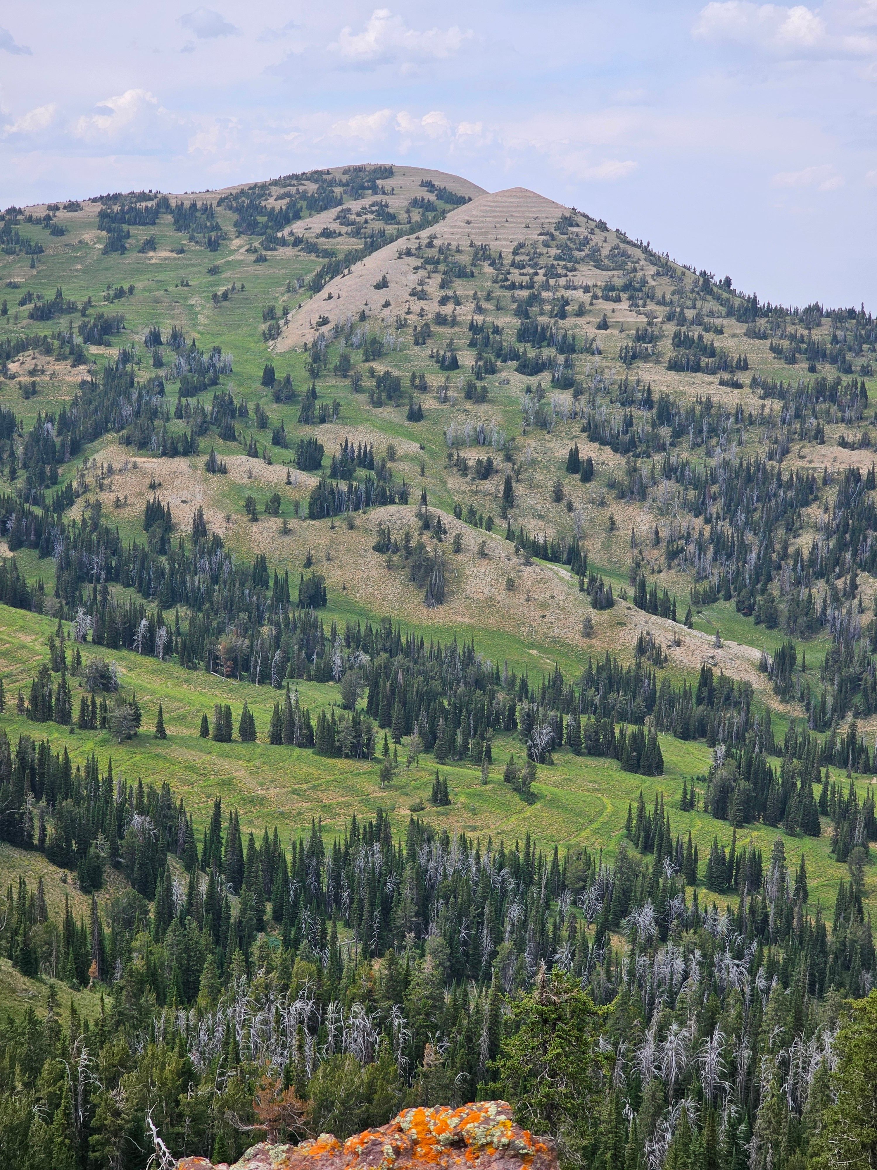 A mountain with a green grassy hill and trees · Free Stock Photo
