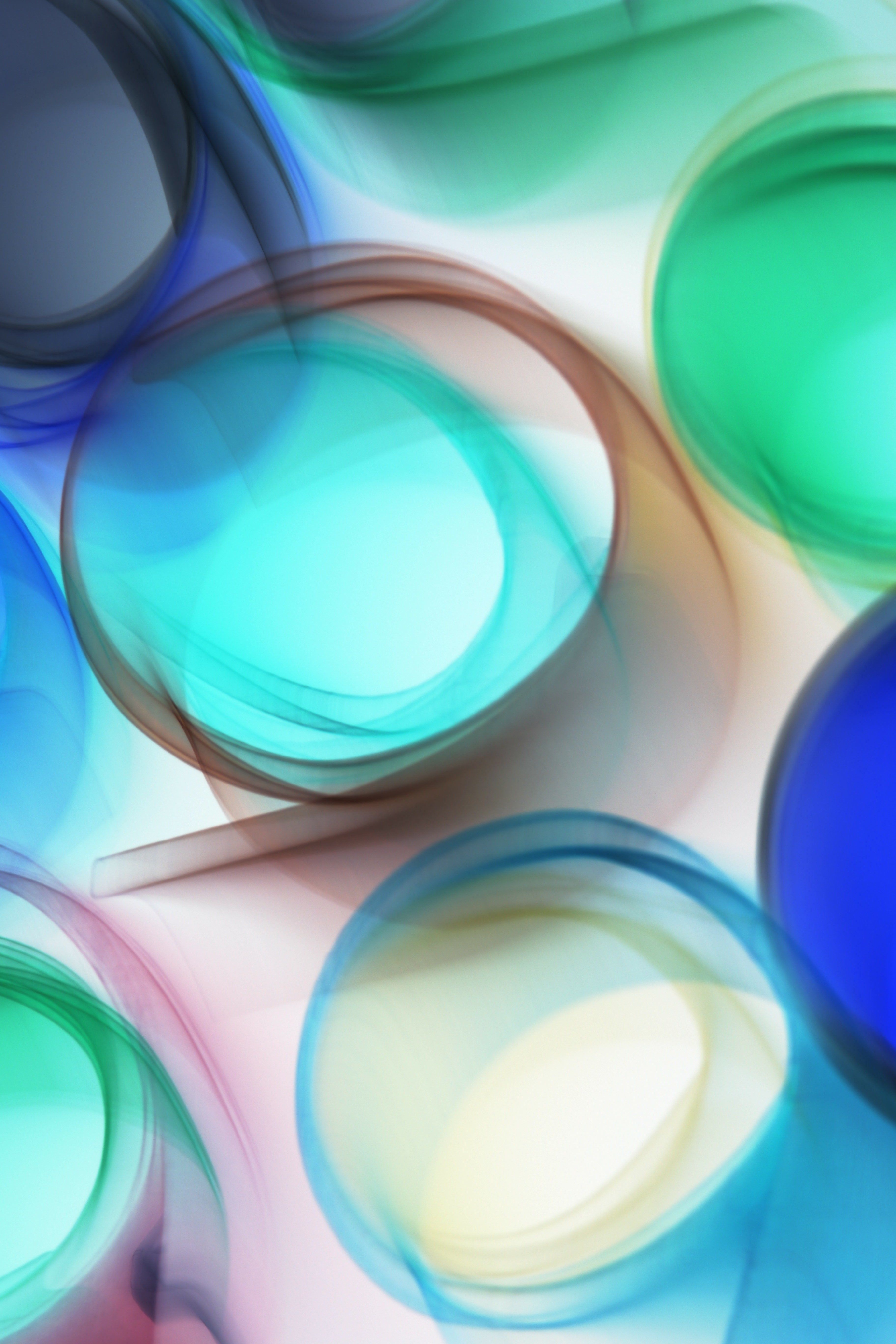 A colorful abstract background with circles · Free Stock Photo