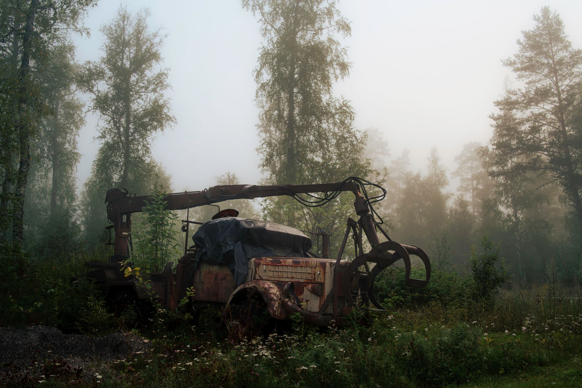 An abandoned rusty logging machine in a foggy forest creates an eerie yet tranquil scene.
