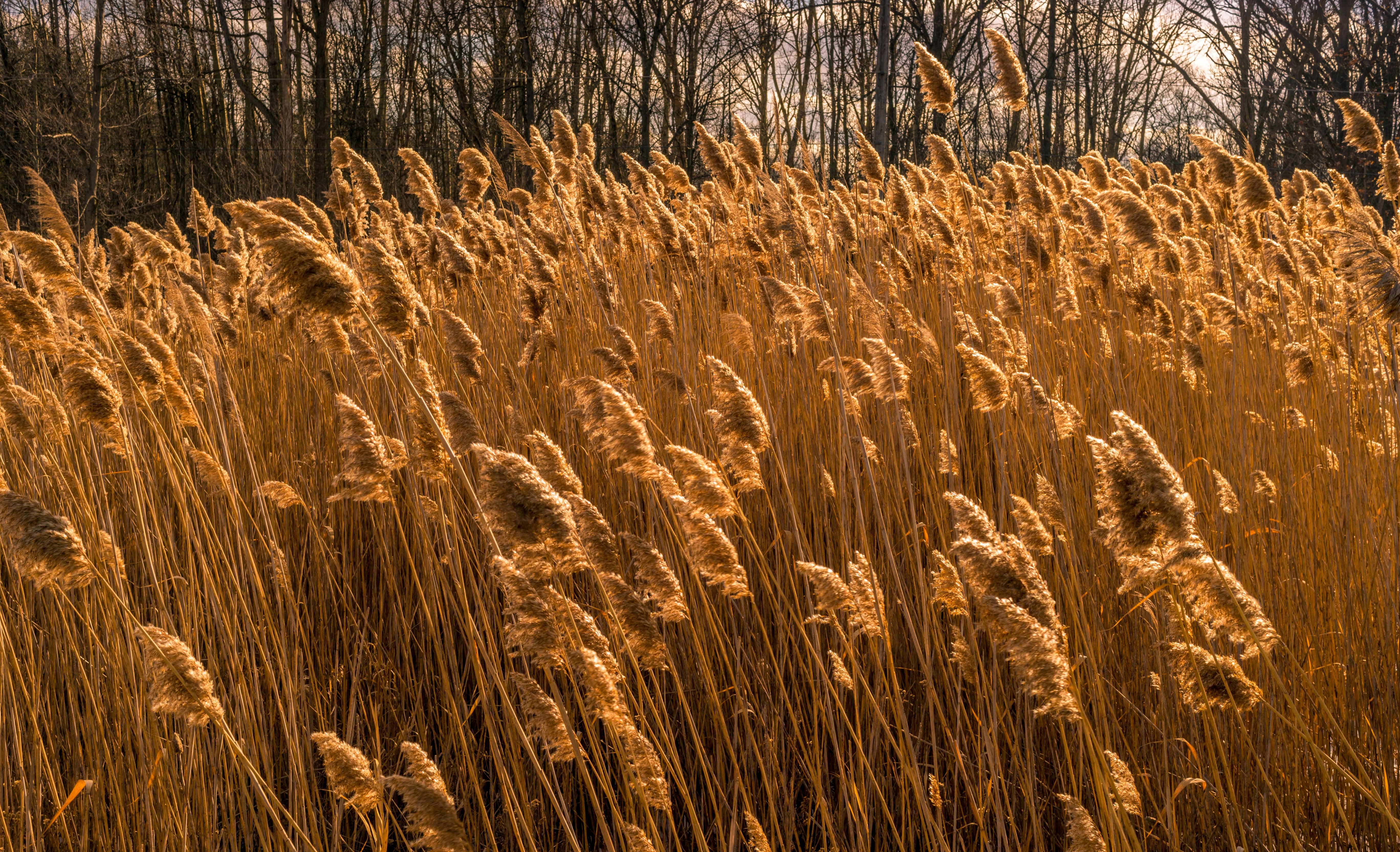 Gratuit Imagine de stoc gratuită din adiere, apus, arid Fotografie de stoc