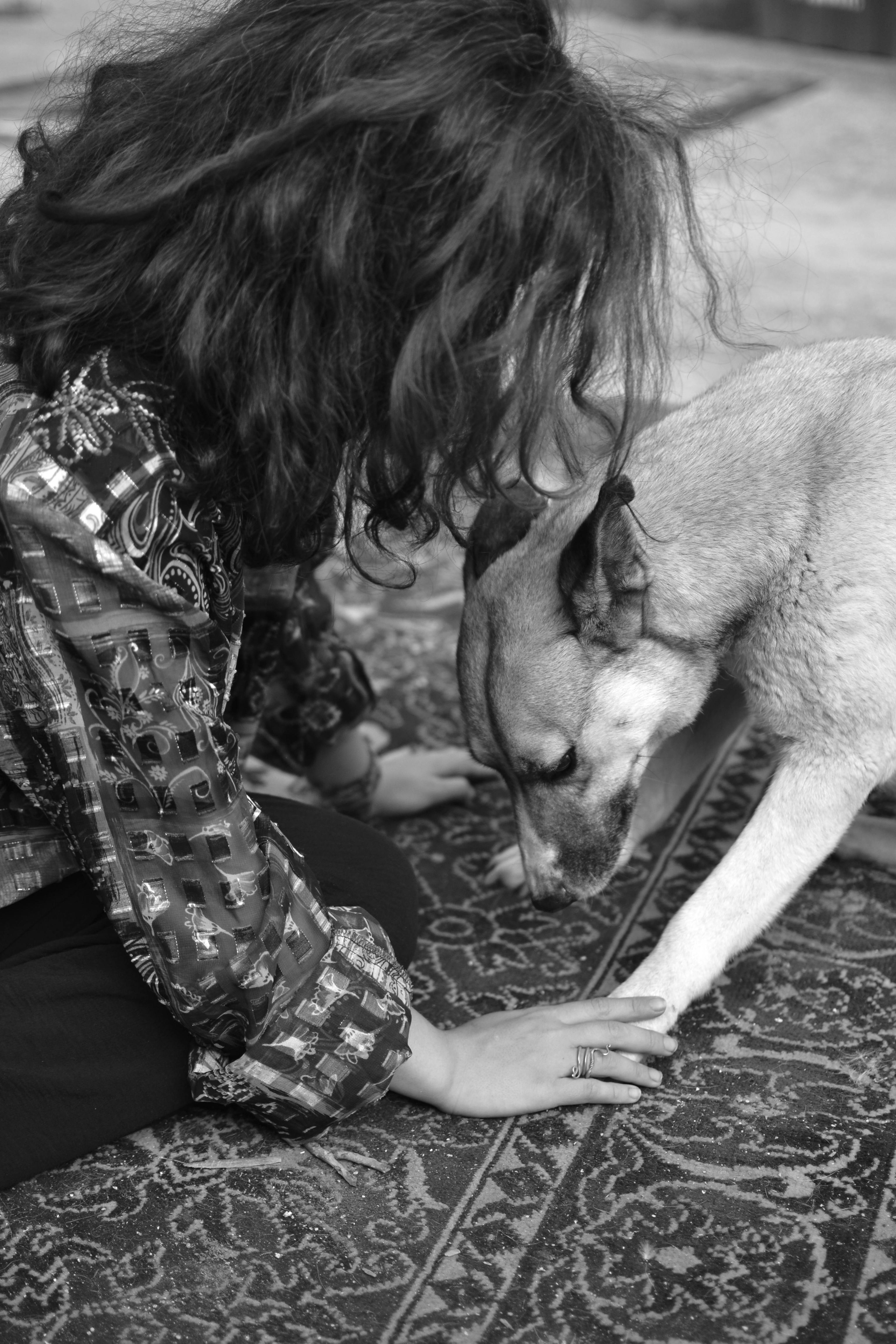 A woman petting a dog on the floor