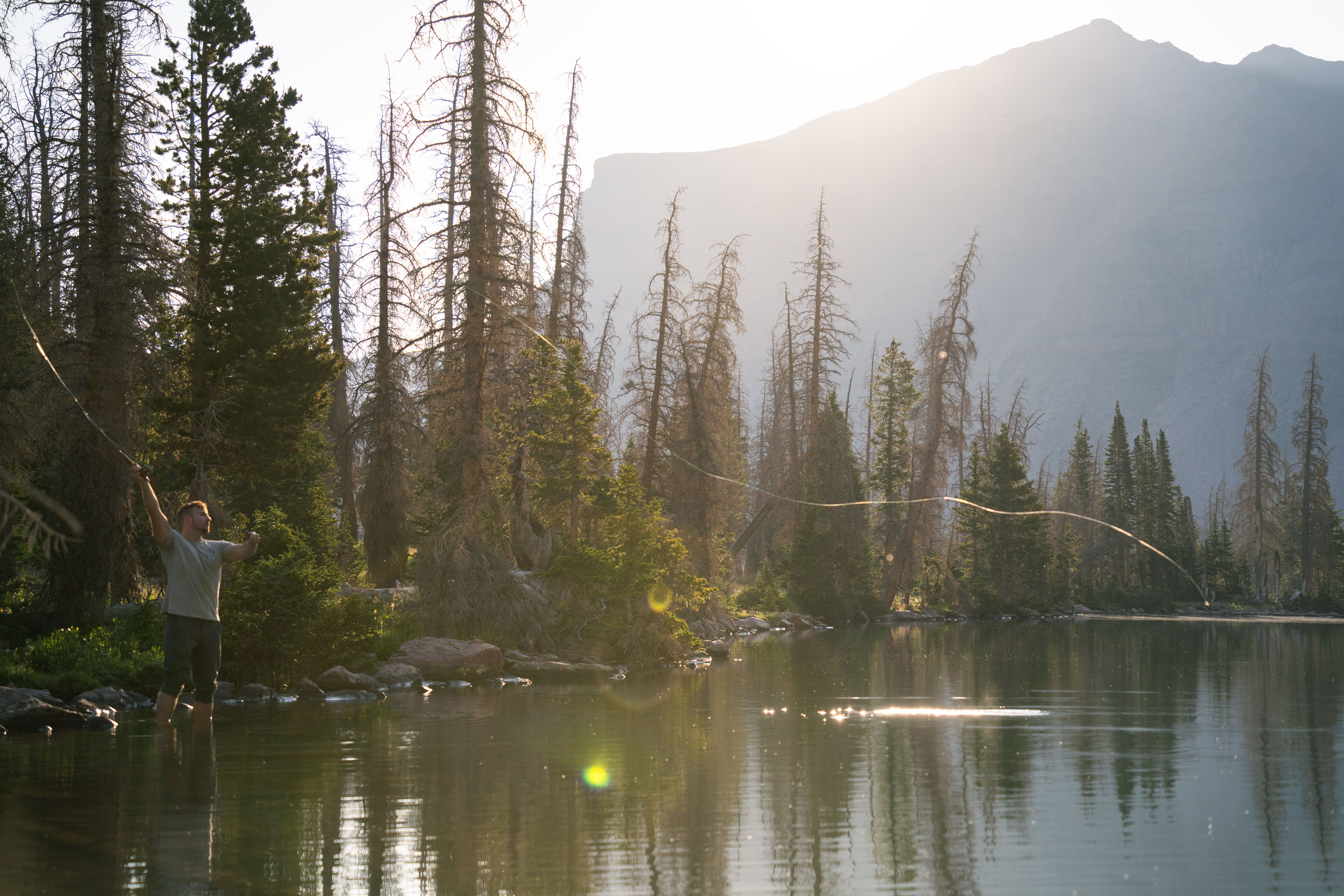 Trout Fishing Tips: Dry Flies and Clean Presentation