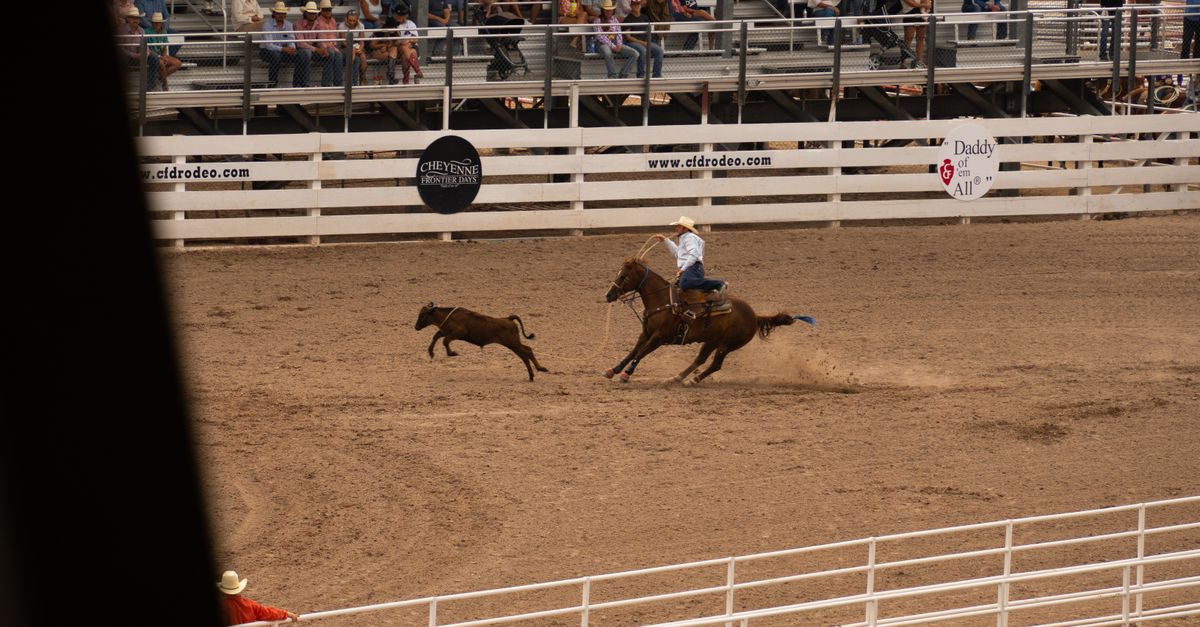 Rode Rider Dog A cowboy riding a horse and a dog in a rodeo · Free Stock Photo