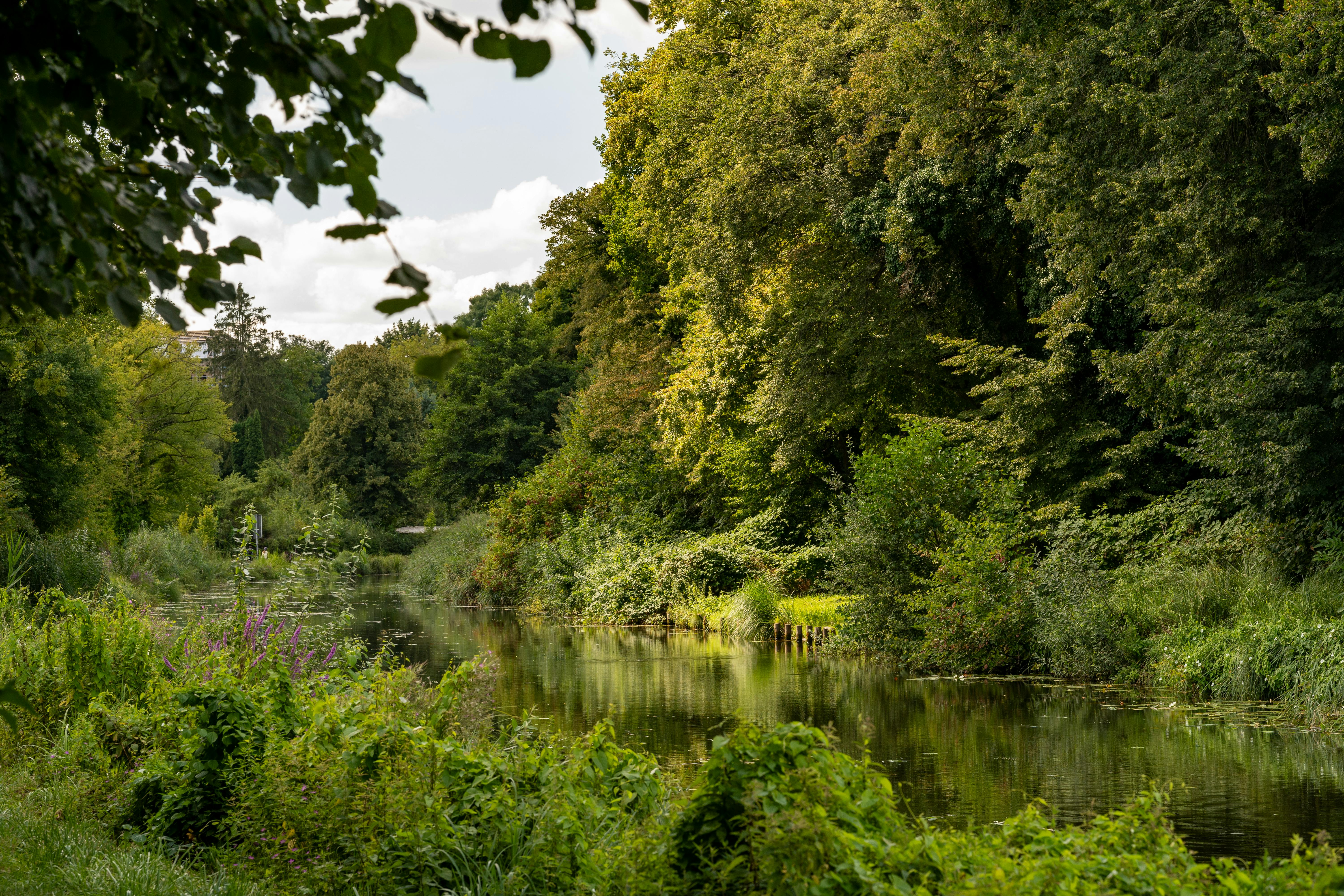 無料 ウォータースポーツ, ウォータートレイル, オープンエアの無料の写真素材 写真素材