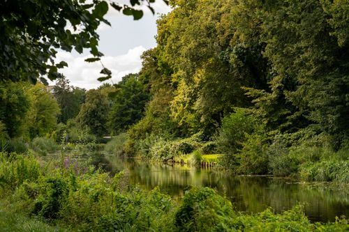 Free Peaceful riverside landscape with vibrant foliage in summer. Stock Photo